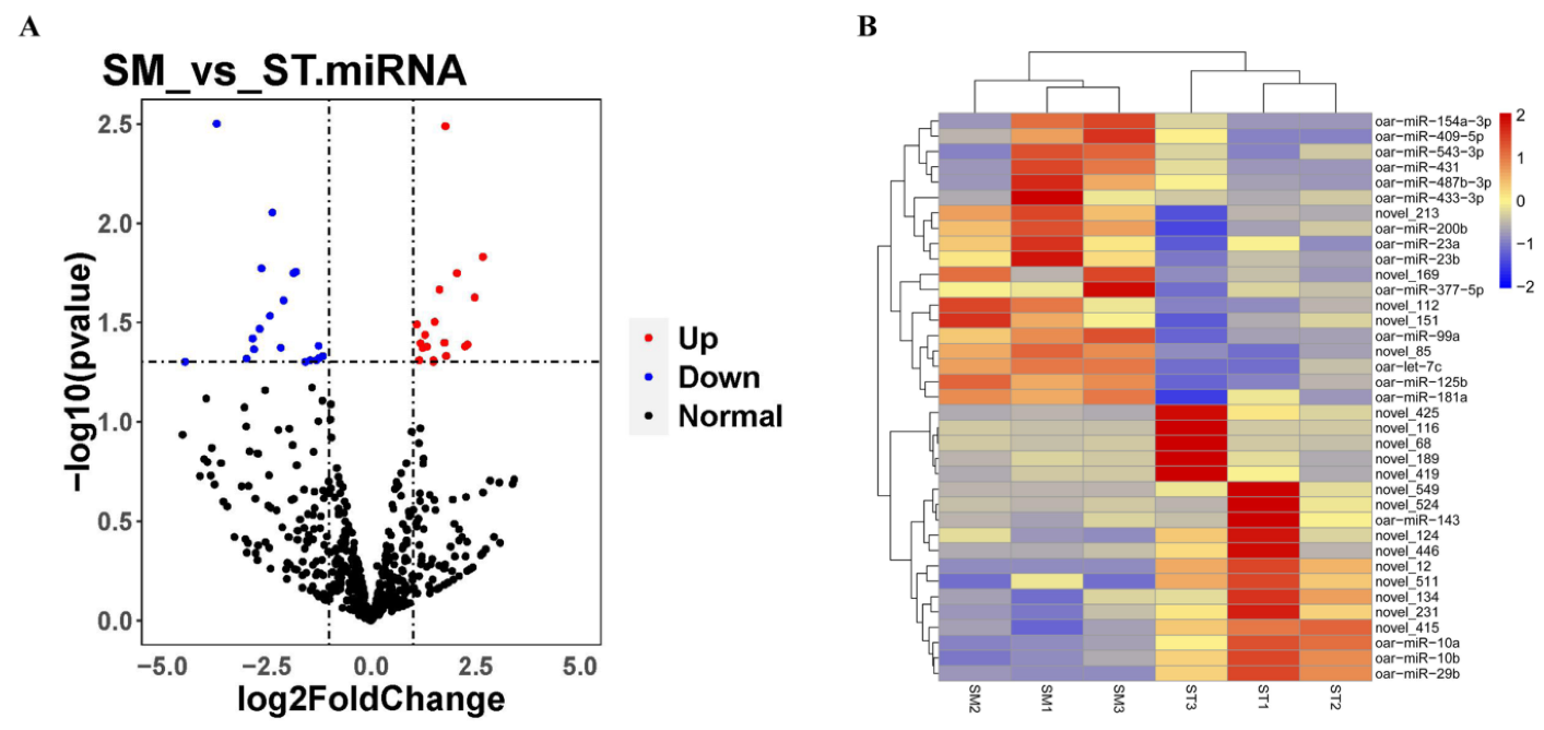 Genes 13 00342 g003 Genes 13 00342 g003