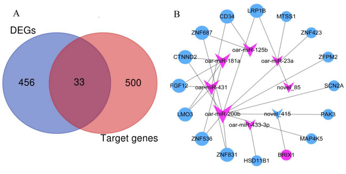 Genes 13 00342 g006 Genes 13 00342 g006