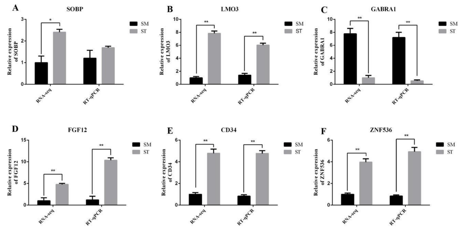 Genes 13 00342 g008 Genes 13 00342 g008