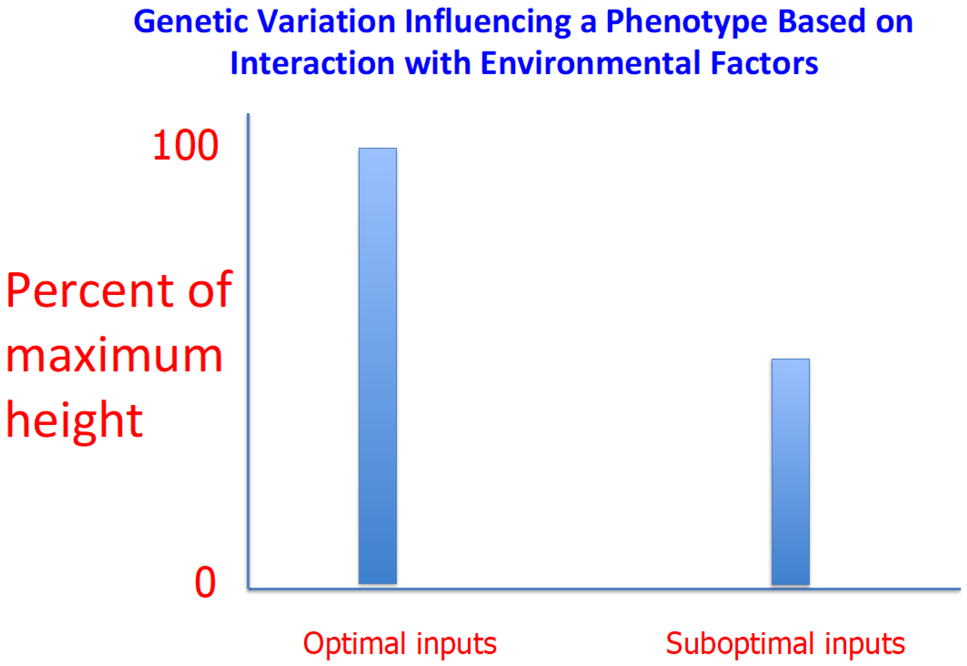 Genes 13 00346 g001 550
