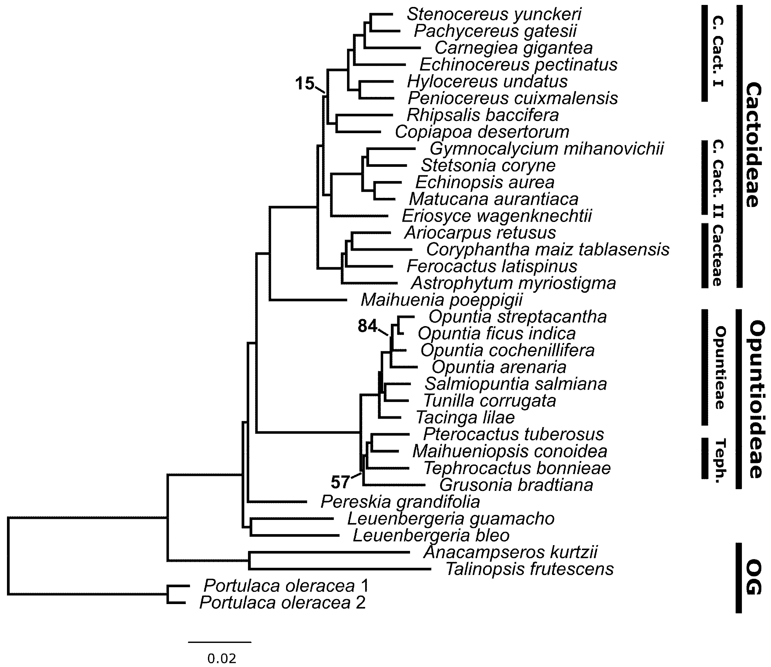 Genes 13 00350 g003 550
