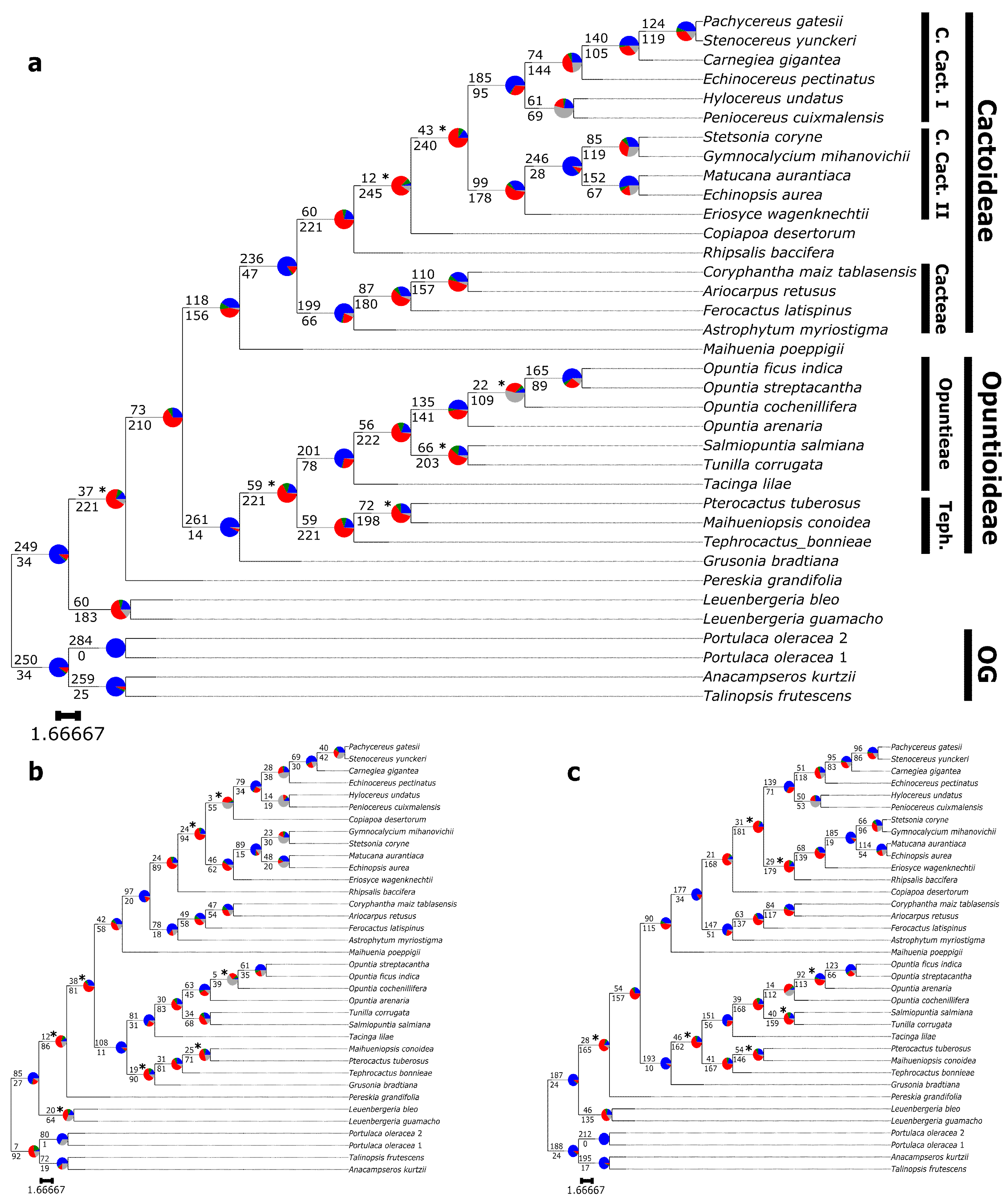 Genes 13 00350 g004 550