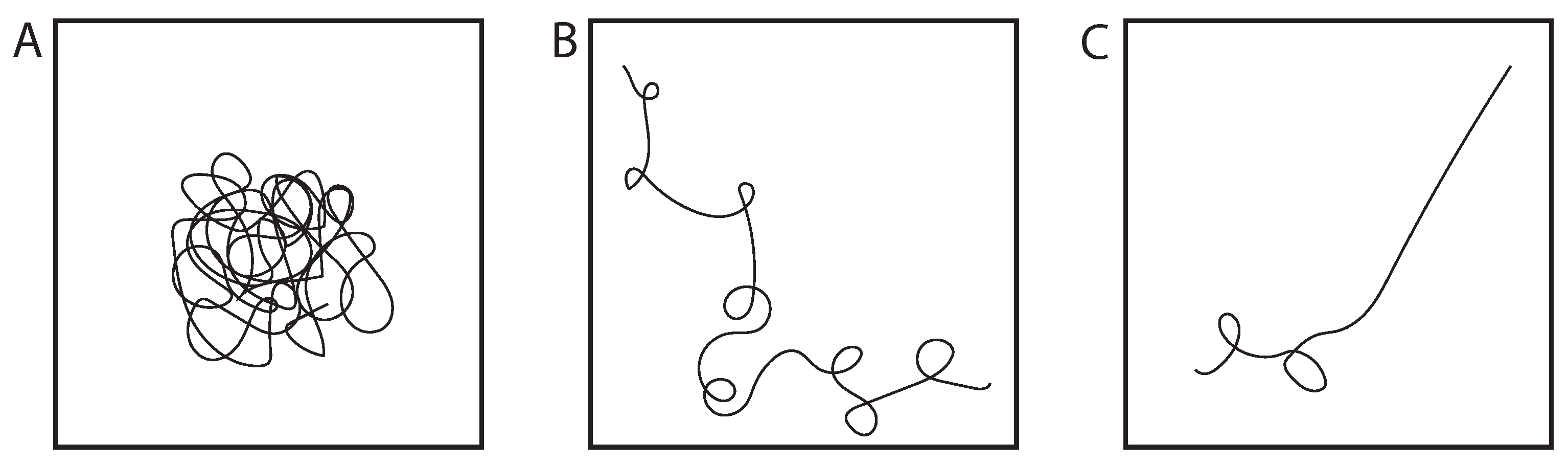 Genes 13 00352 g003 Genes 13 00352 g003