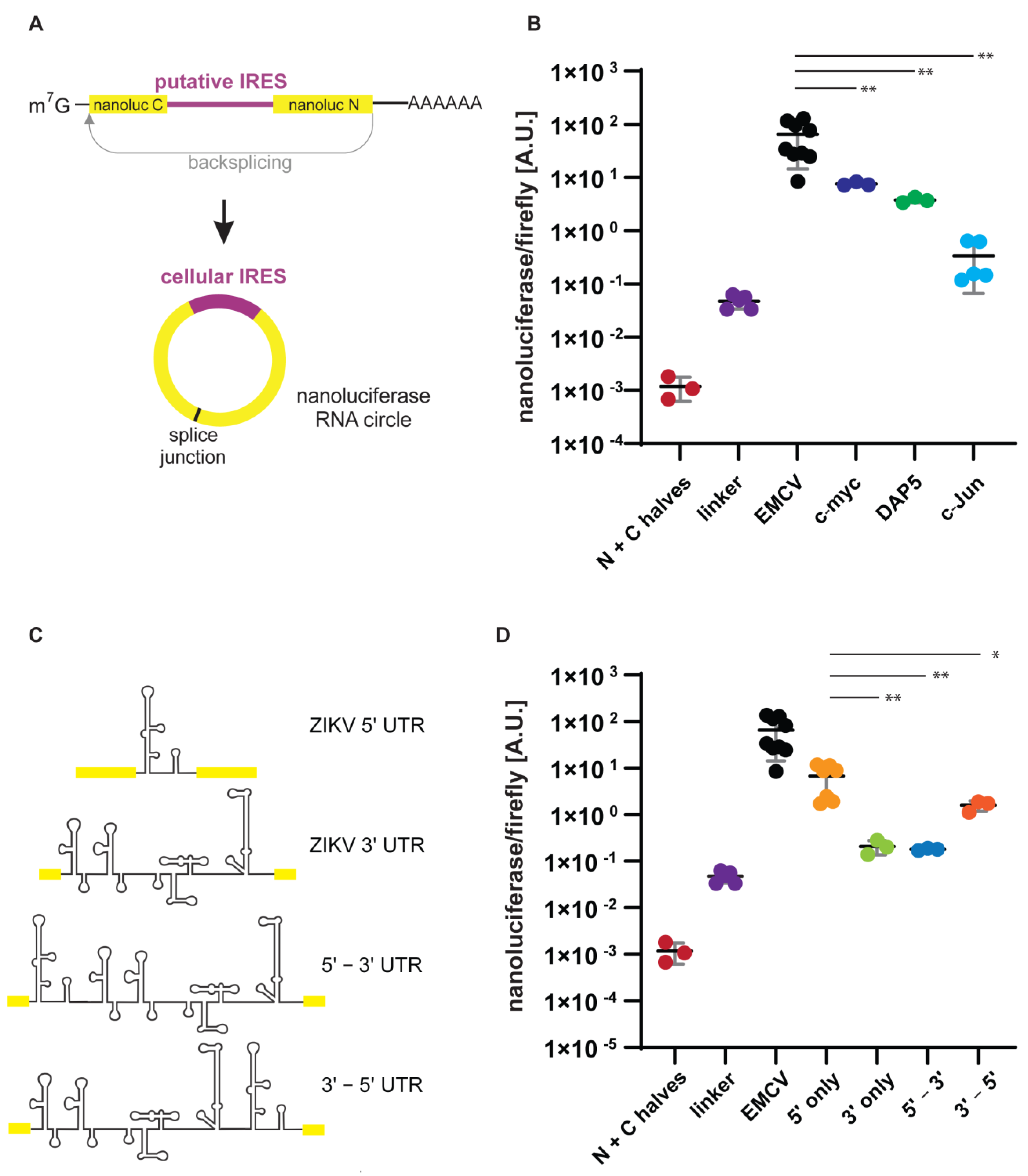 Genes 13 00357 g002 Genes 13 00357 g002