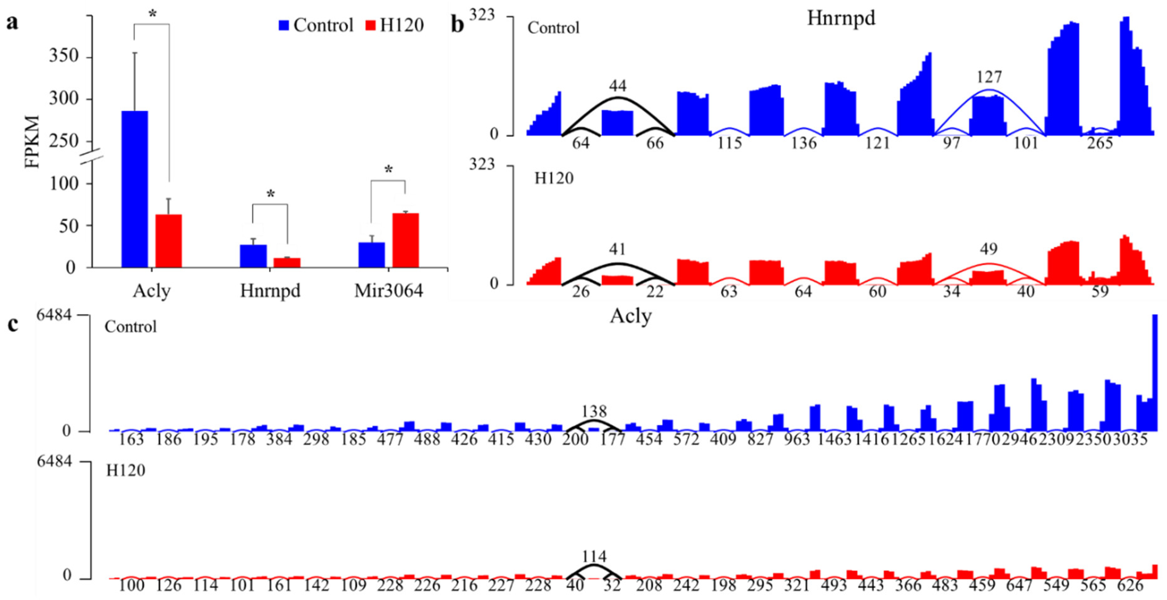 Genes 13 00358 g005 Genes 13 00358 g005
