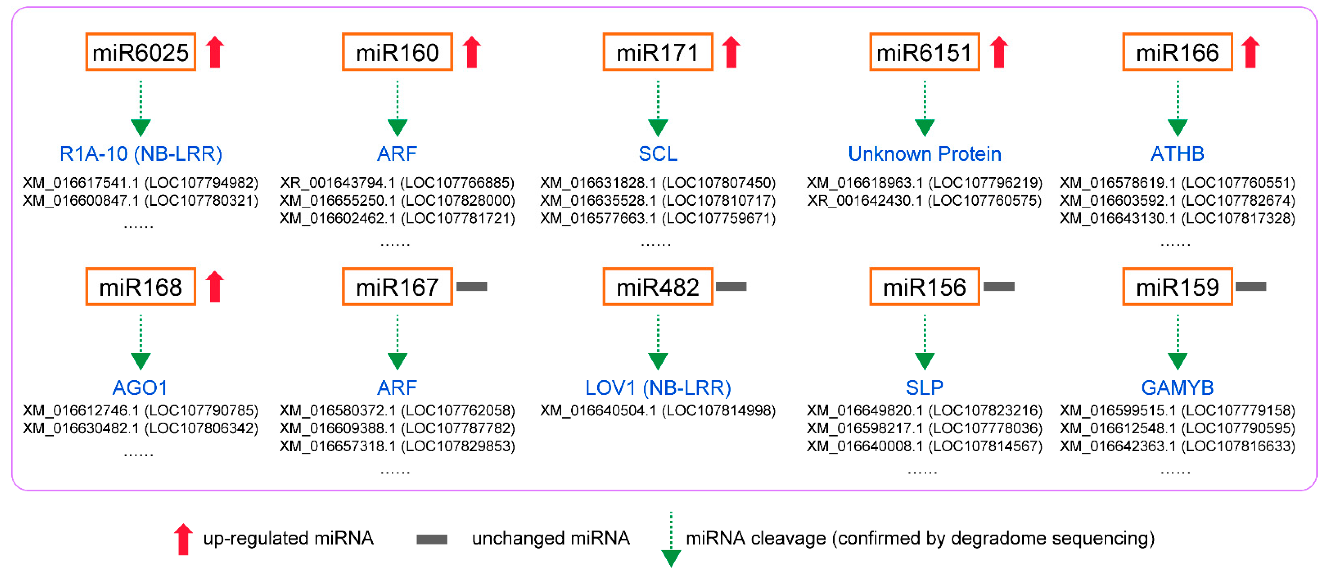 Genes 13 00361 g006