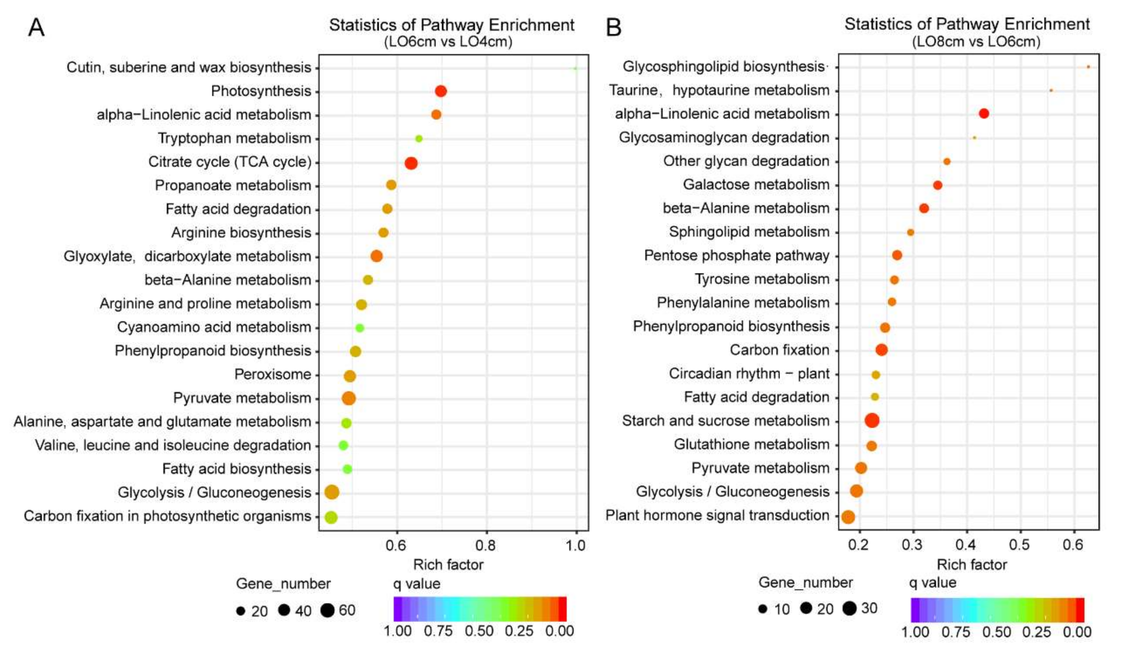 Genes 13 00366 g005