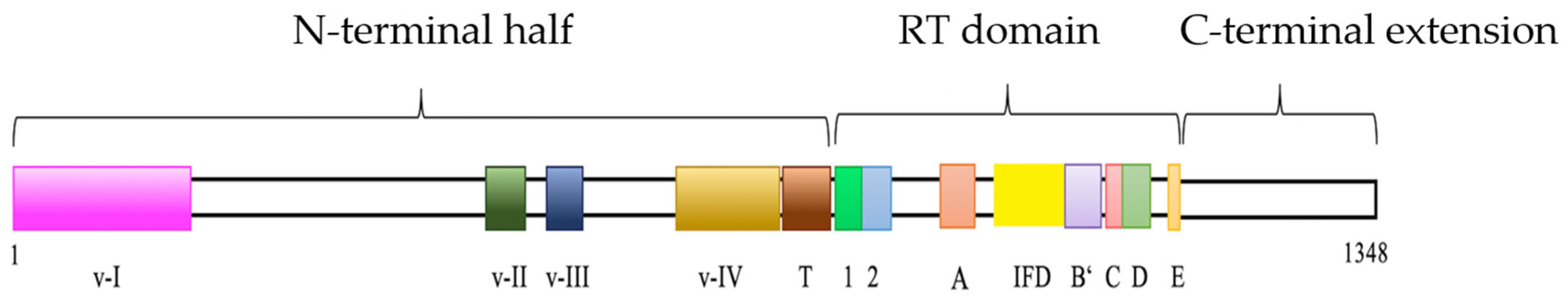 Genes 13 00373 g001 550