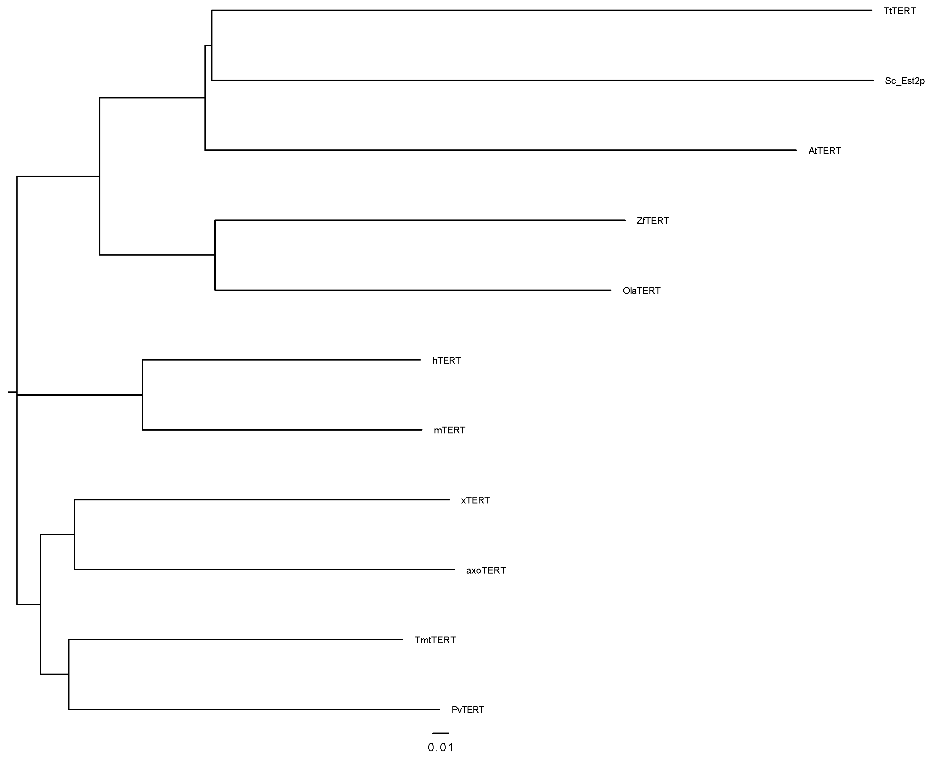 Genes 13 00373 g002 550
