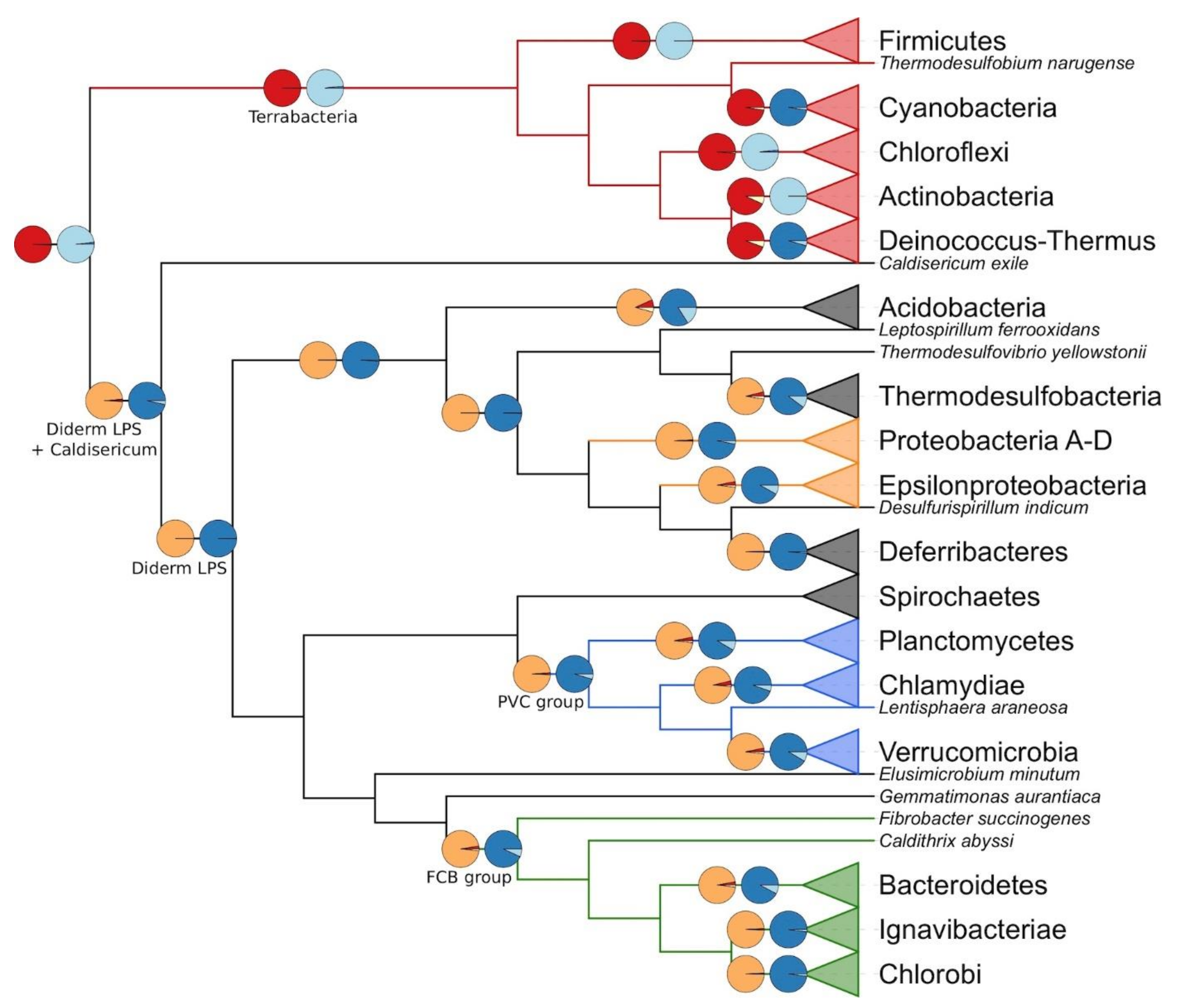 Genes 13 00376 g002 Genes 13 00376 g002
