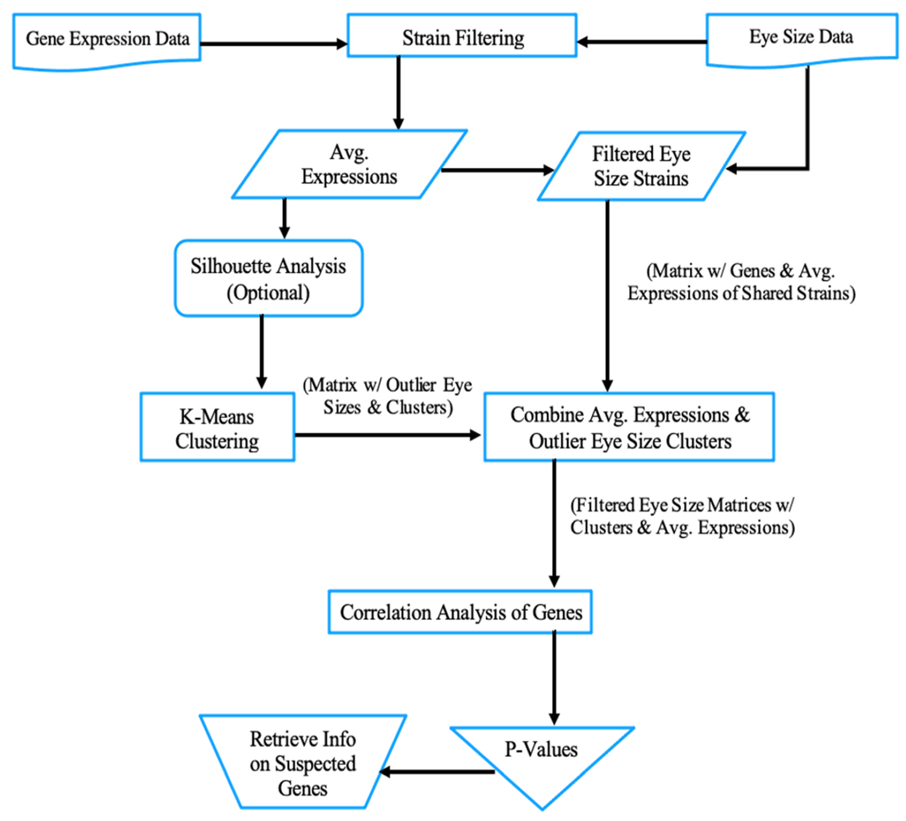 Genes 13 00386 g002 Genes 13 00386 g002