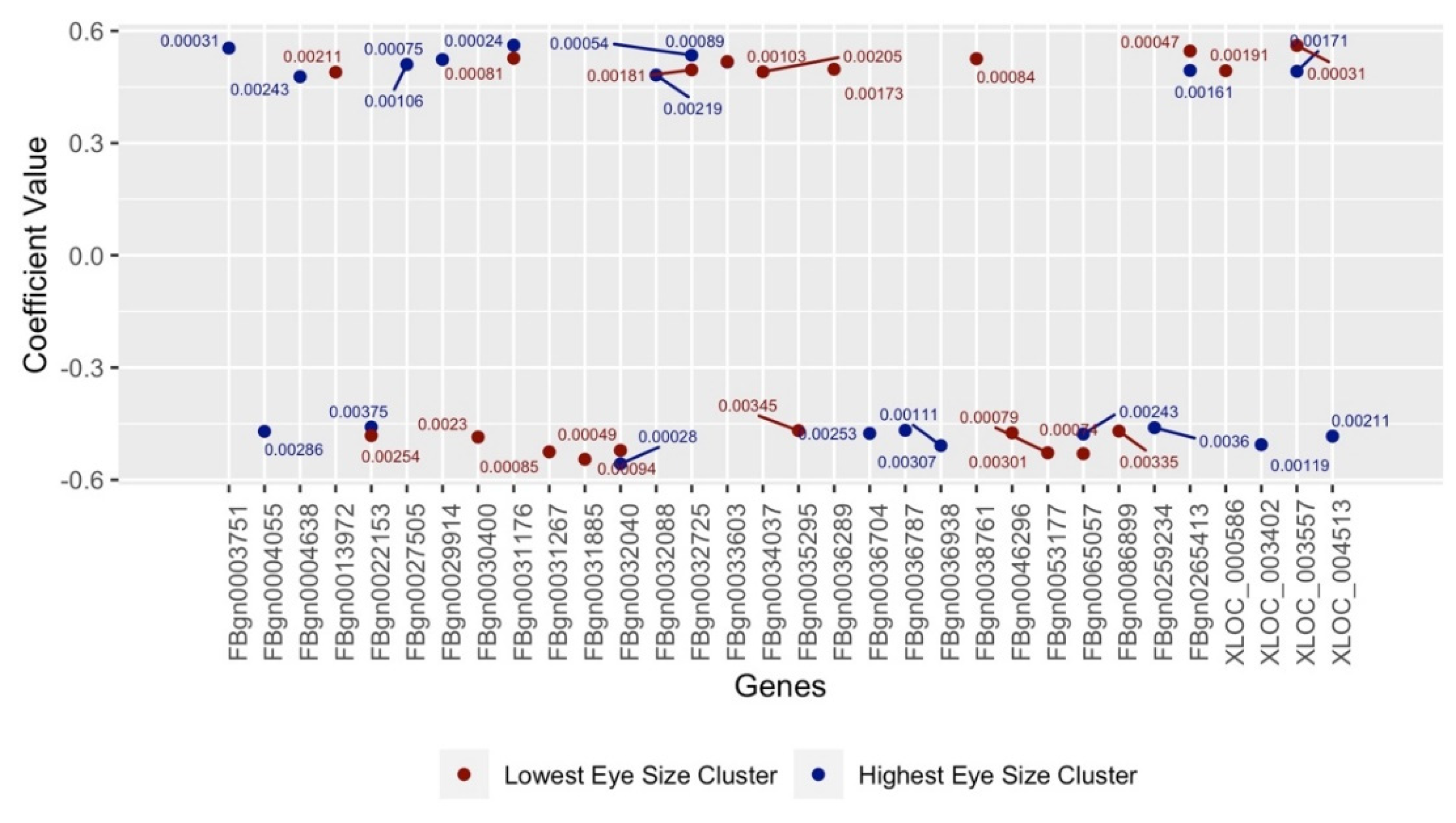 Genes 13 00386 g007 Genes 13 00386 g007