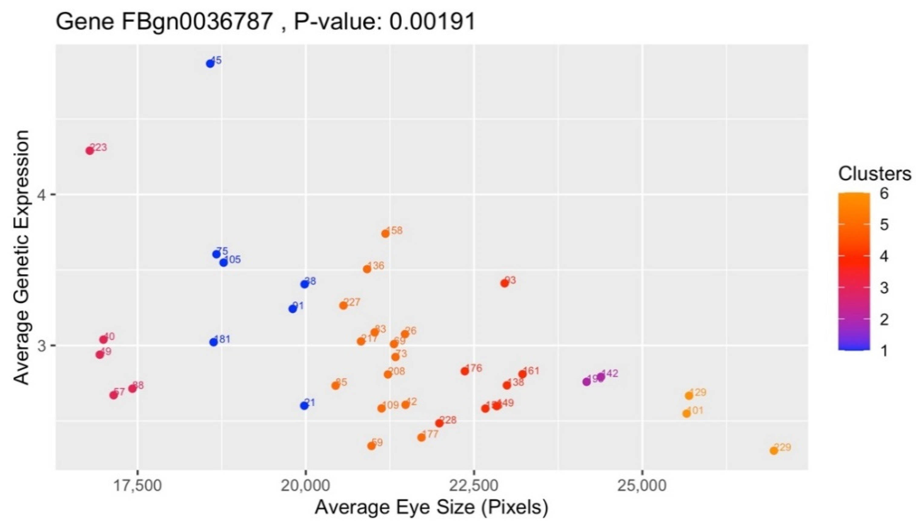 Genes 13 00386 g010 Genes 13 00386 g010