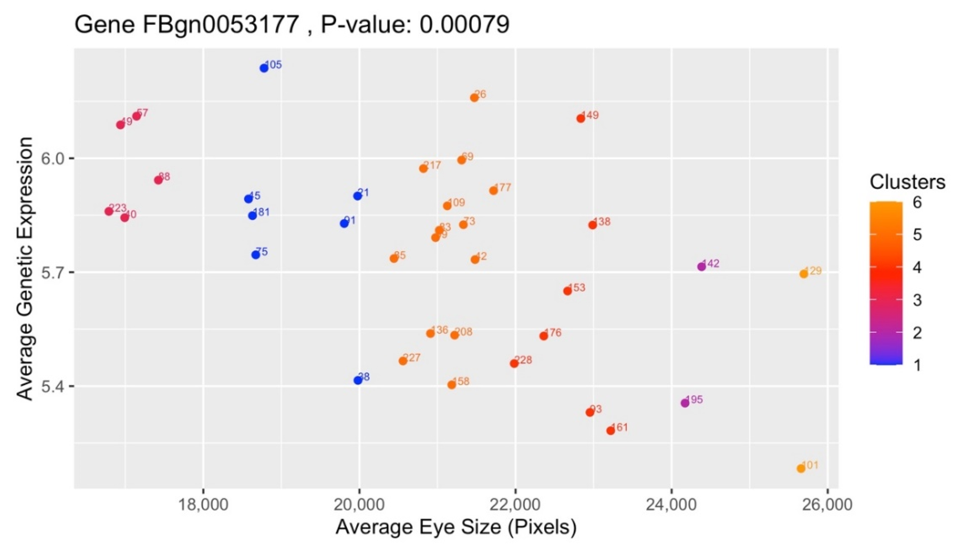 Genes 13 00386 g011 Genes 13 00386 g011