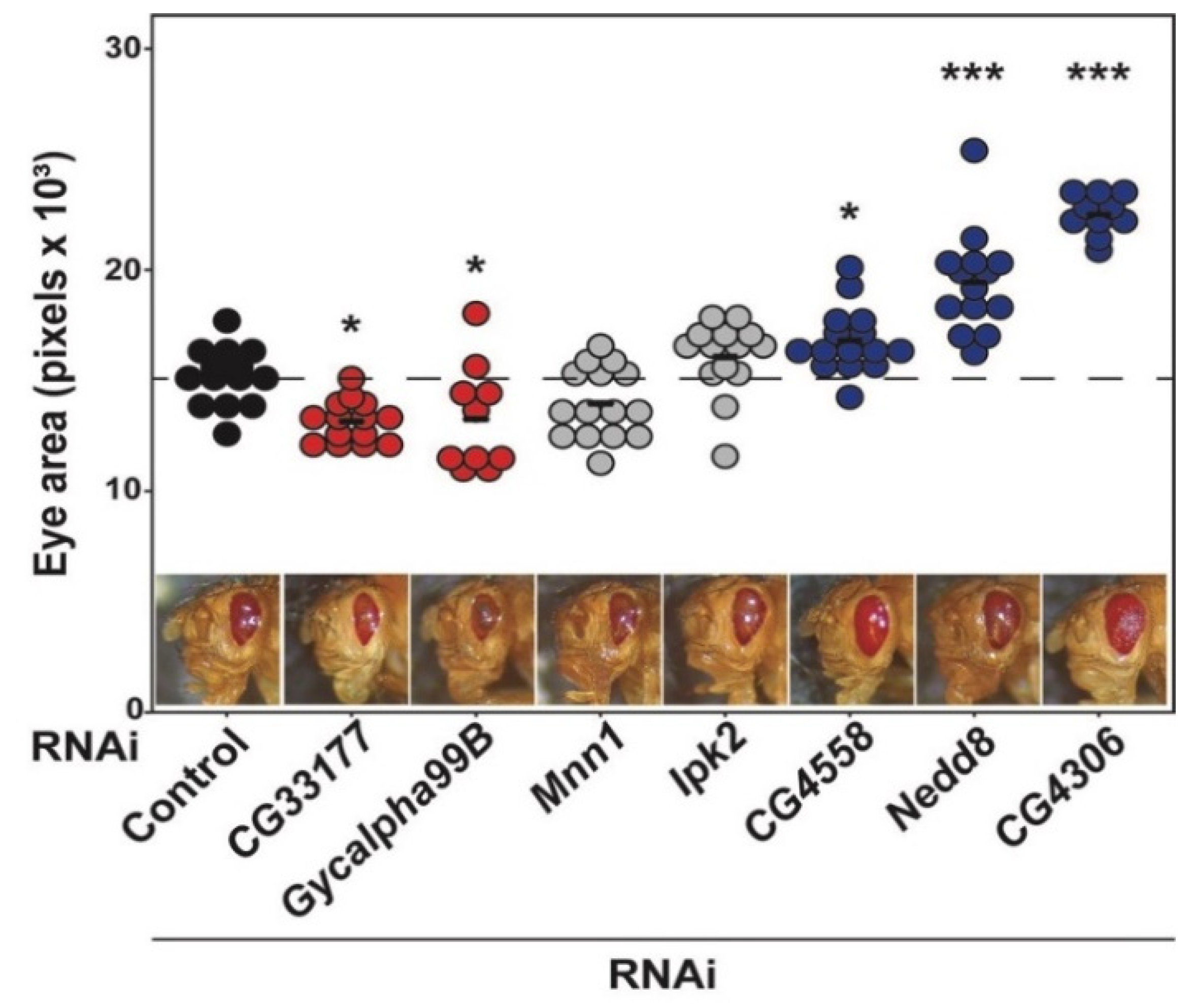 Genes 13 00386 g012 Genes 13 00386 g012