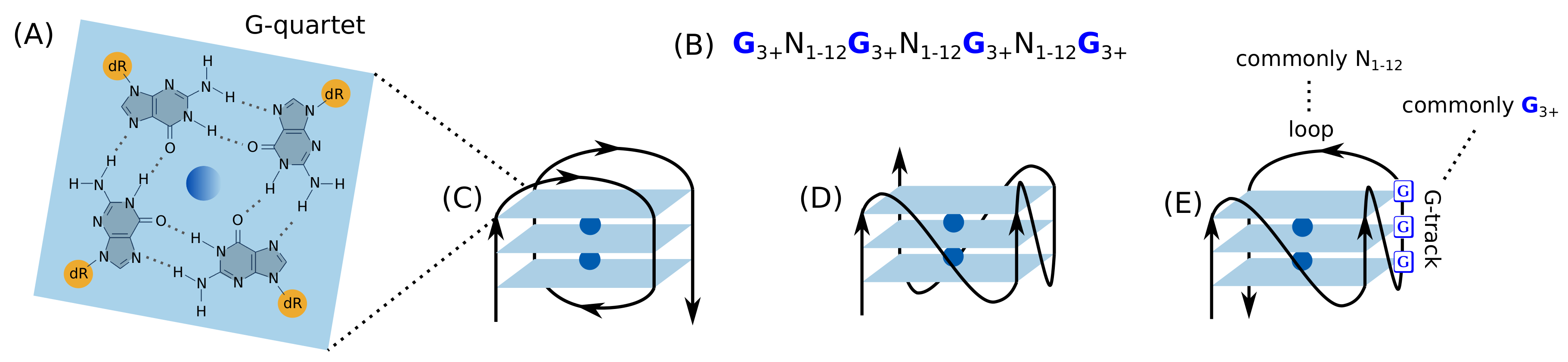 Genes 13 00391 g001