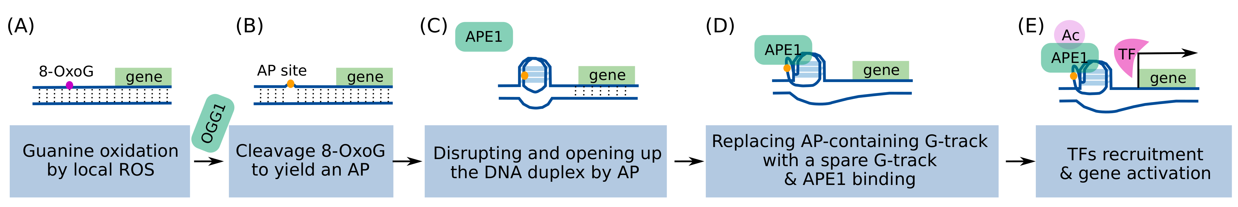 Genes 13 00391 g002
