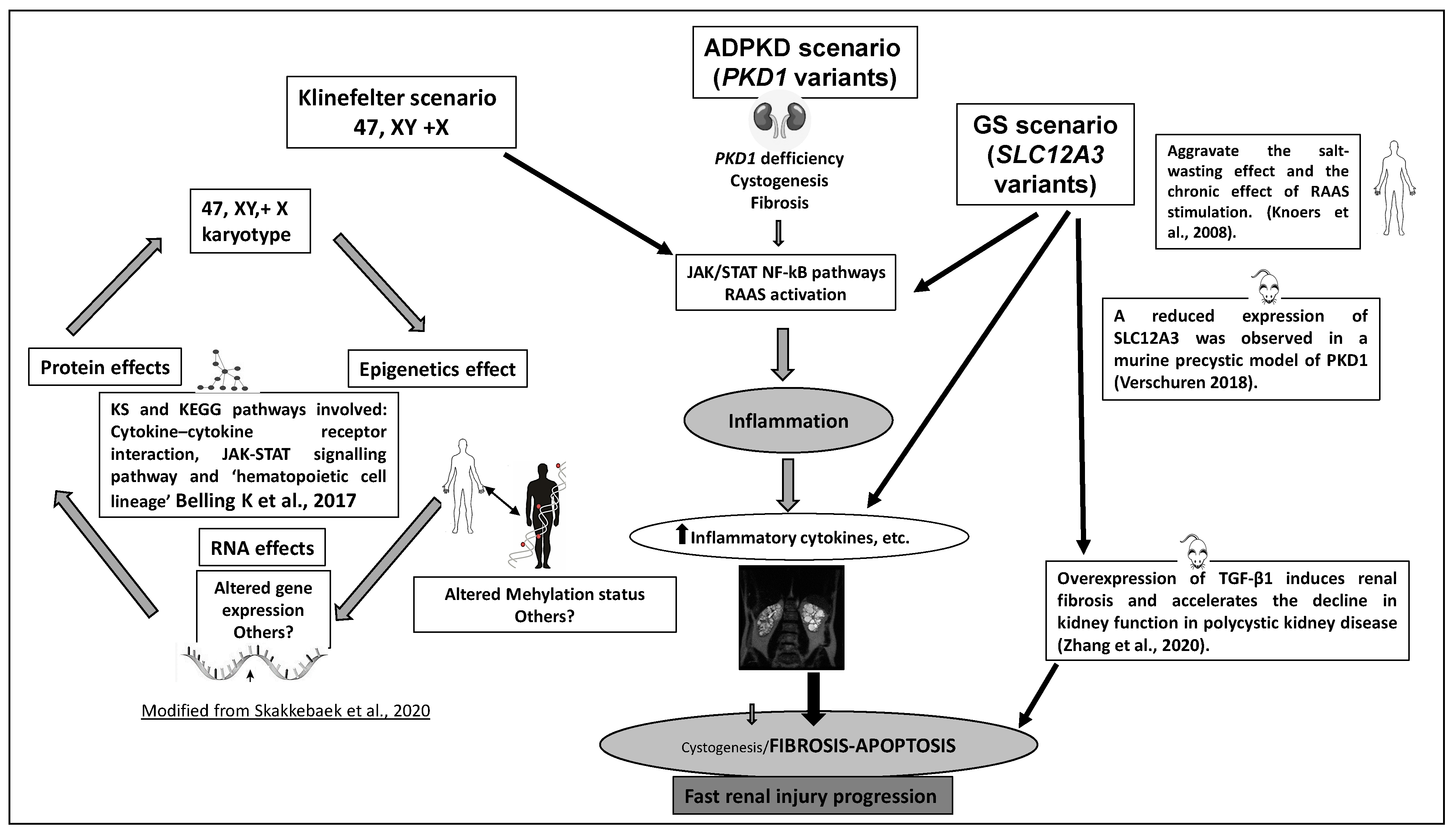 Genes 13 00394 g002 550