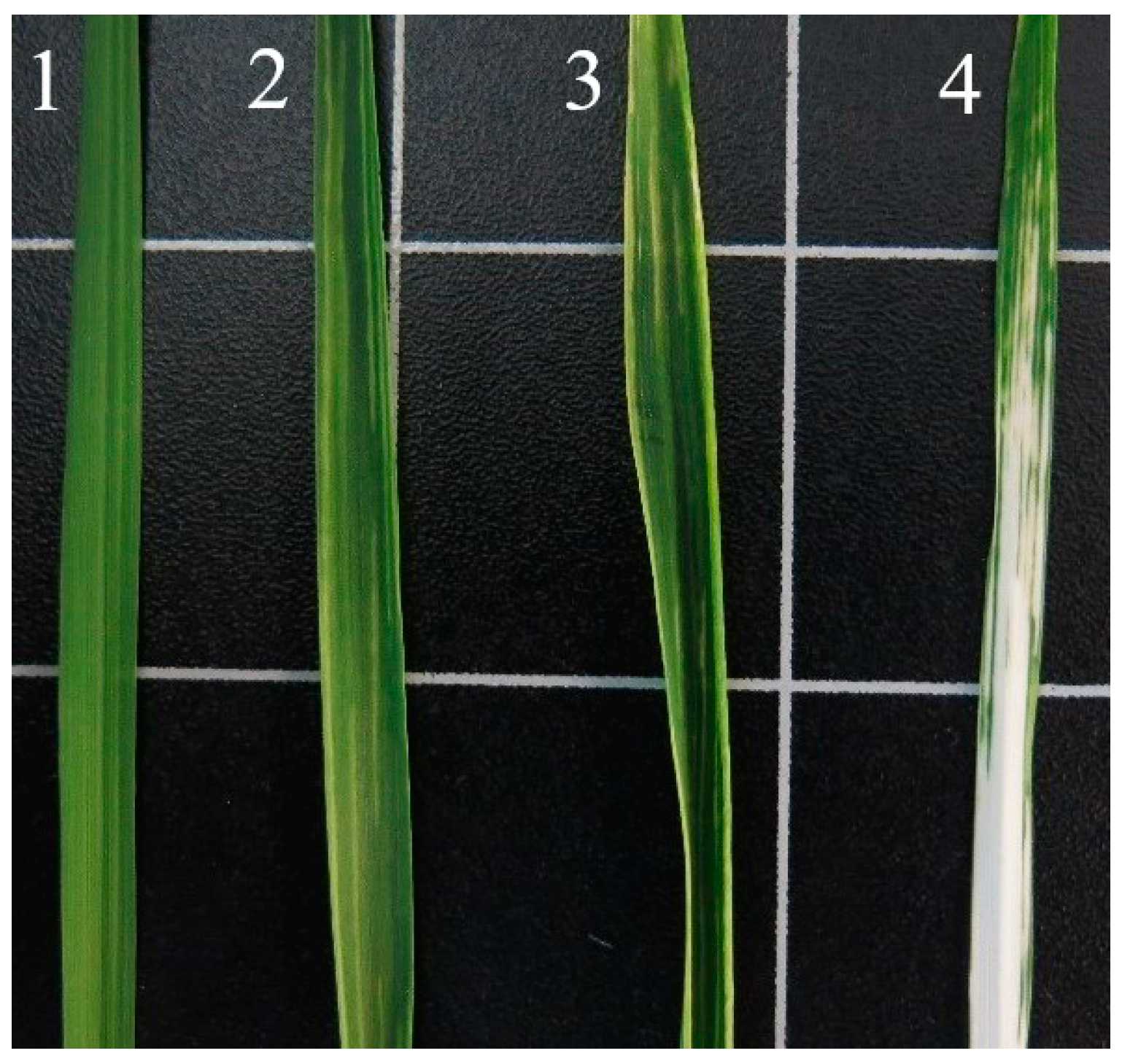 Genes 13 00395 g002 550