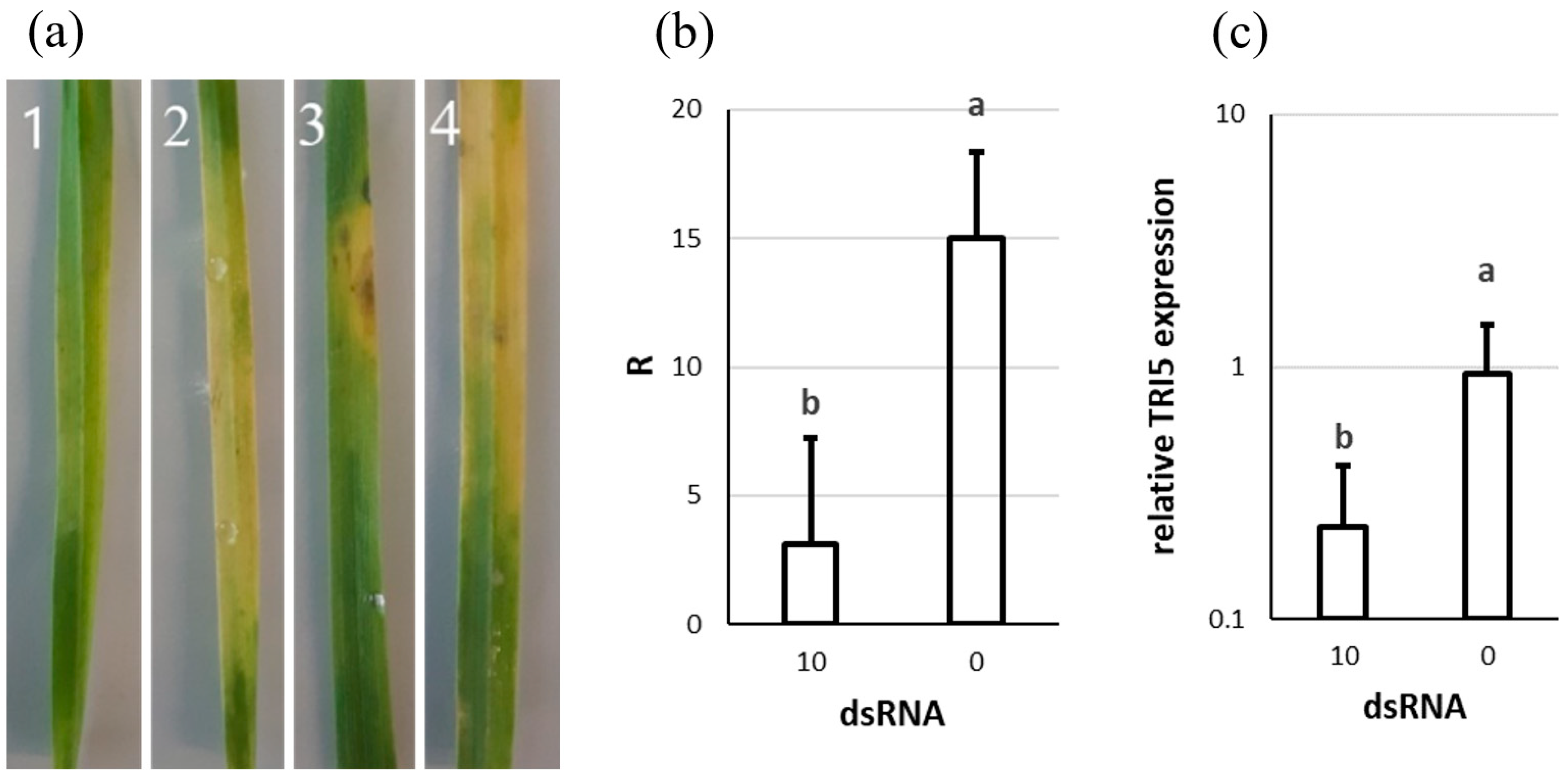 Genes 13 00395 g005 550