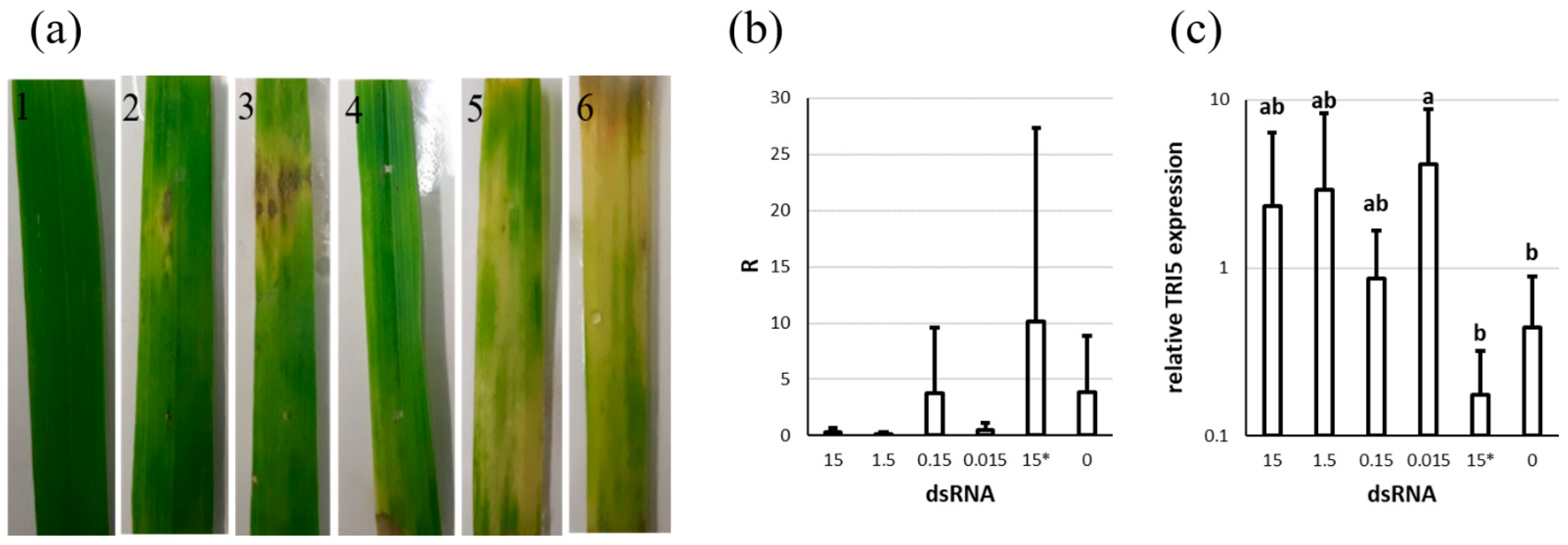 Genes 13 00395 g006 550