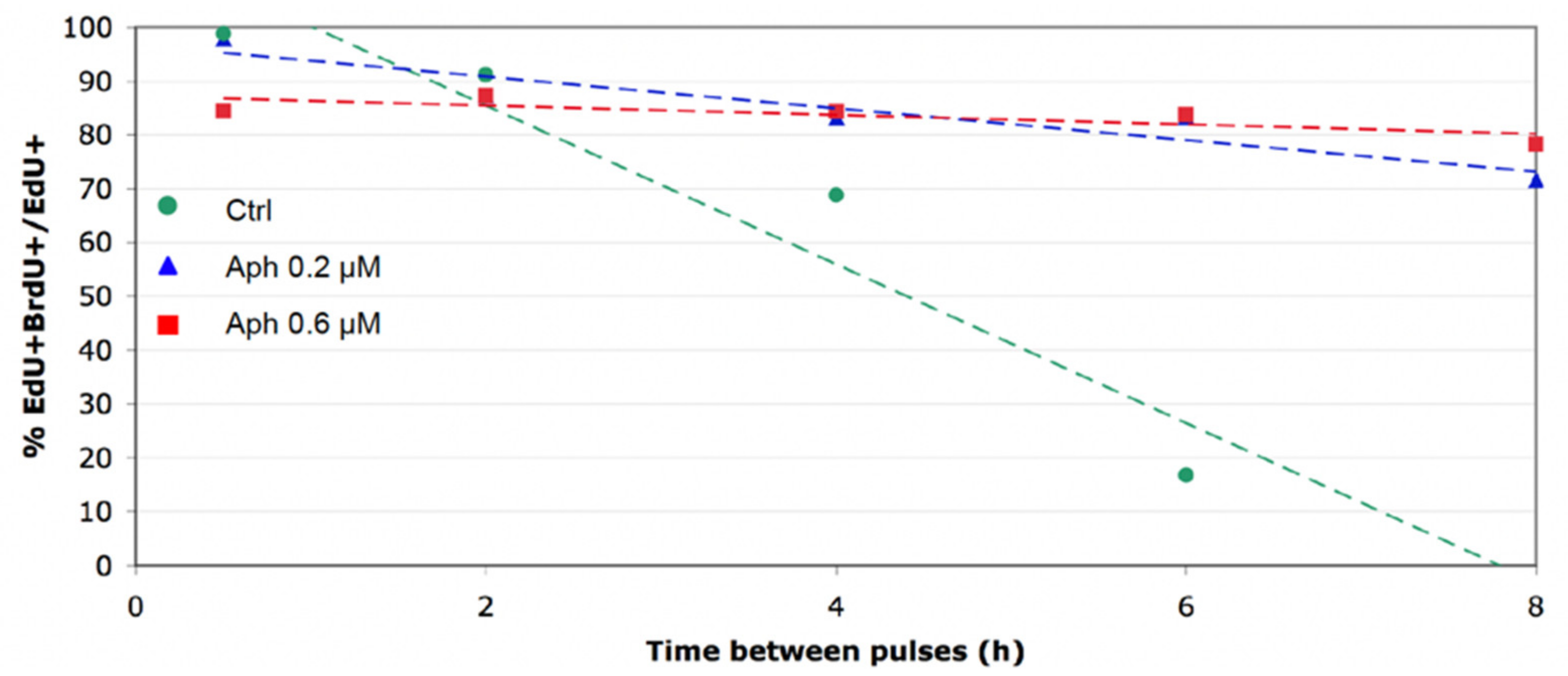 Genes 13 00408 g005 Genes 13 00408 g005