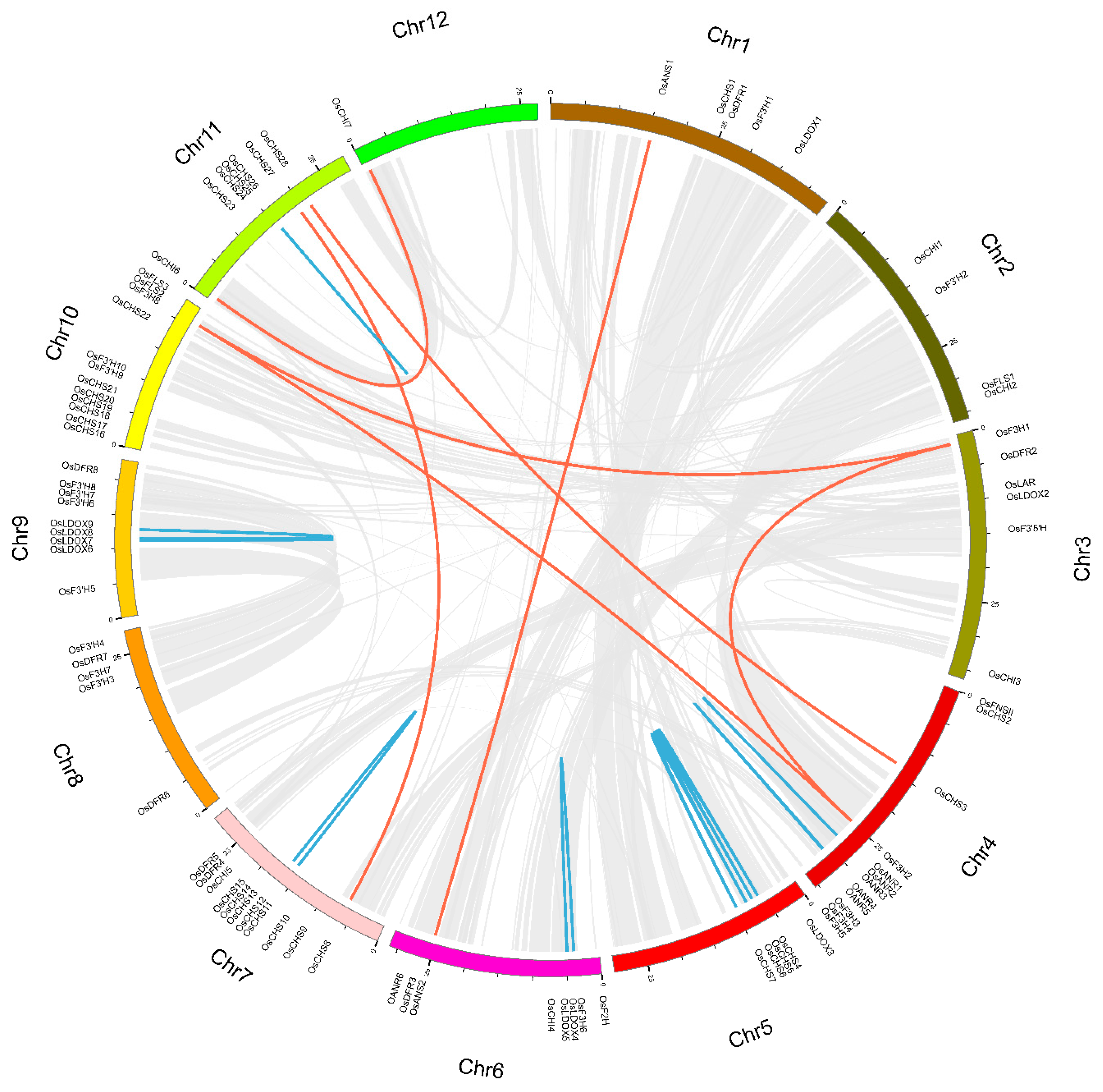 Genes | Free Full-Text | Genome-Wide Identification and Expression ...