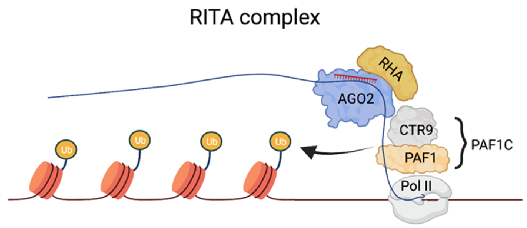 Genes 13 00414 g003 550