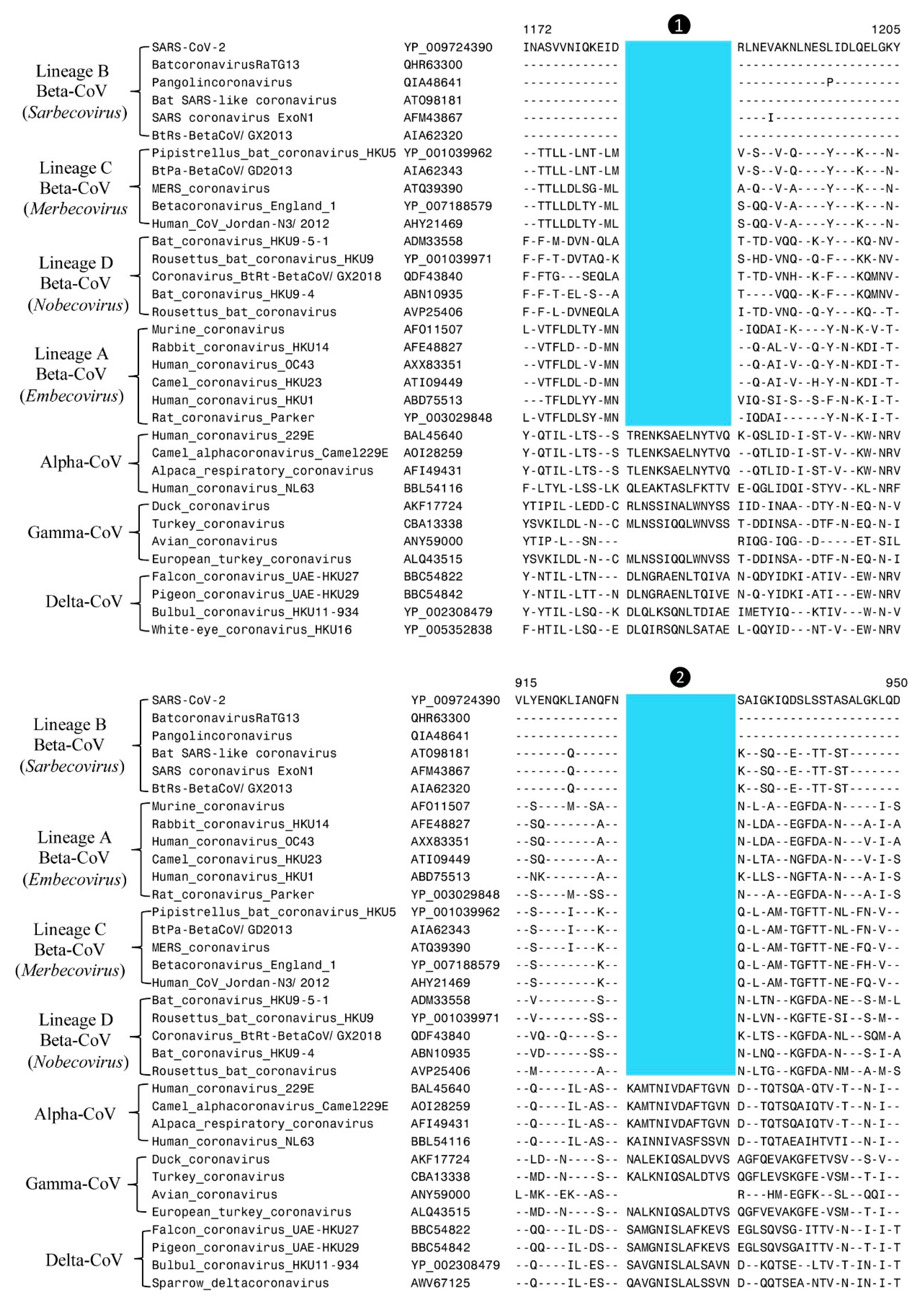 Genes 13 00423 g002 550