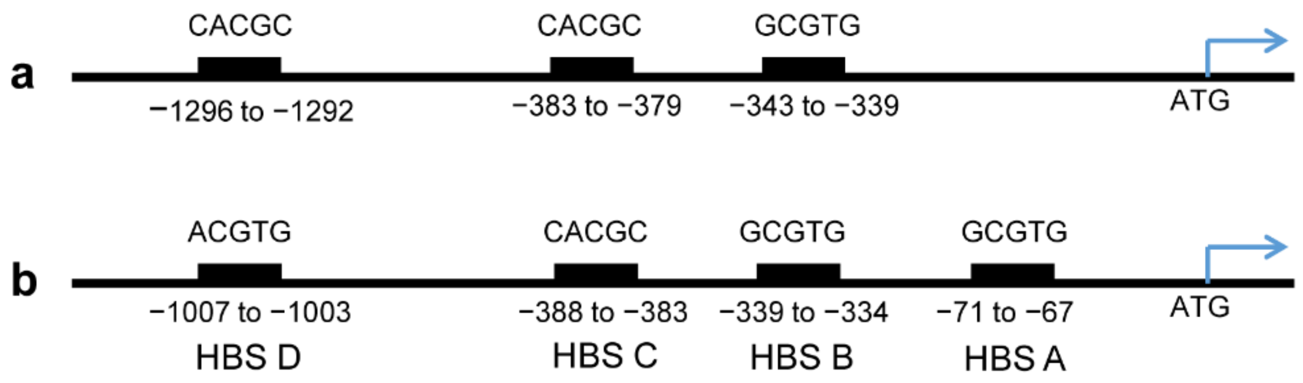 Genes 13 00427 g003