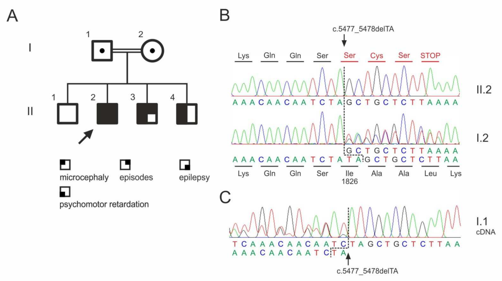 Genes 13 00429 g001 550