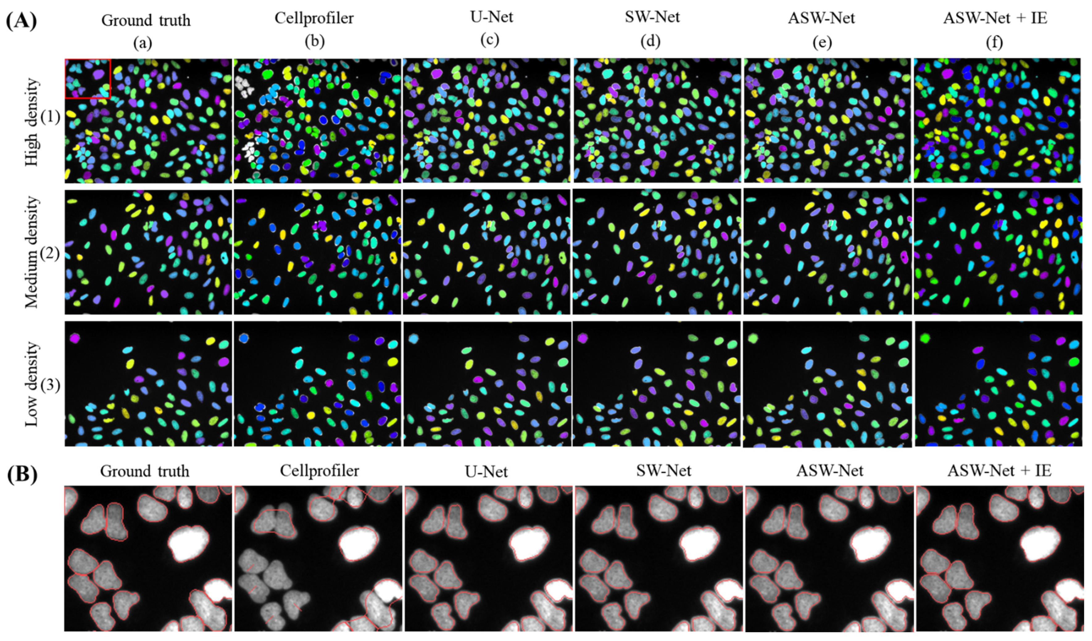 Genes 13 00431 g003 550