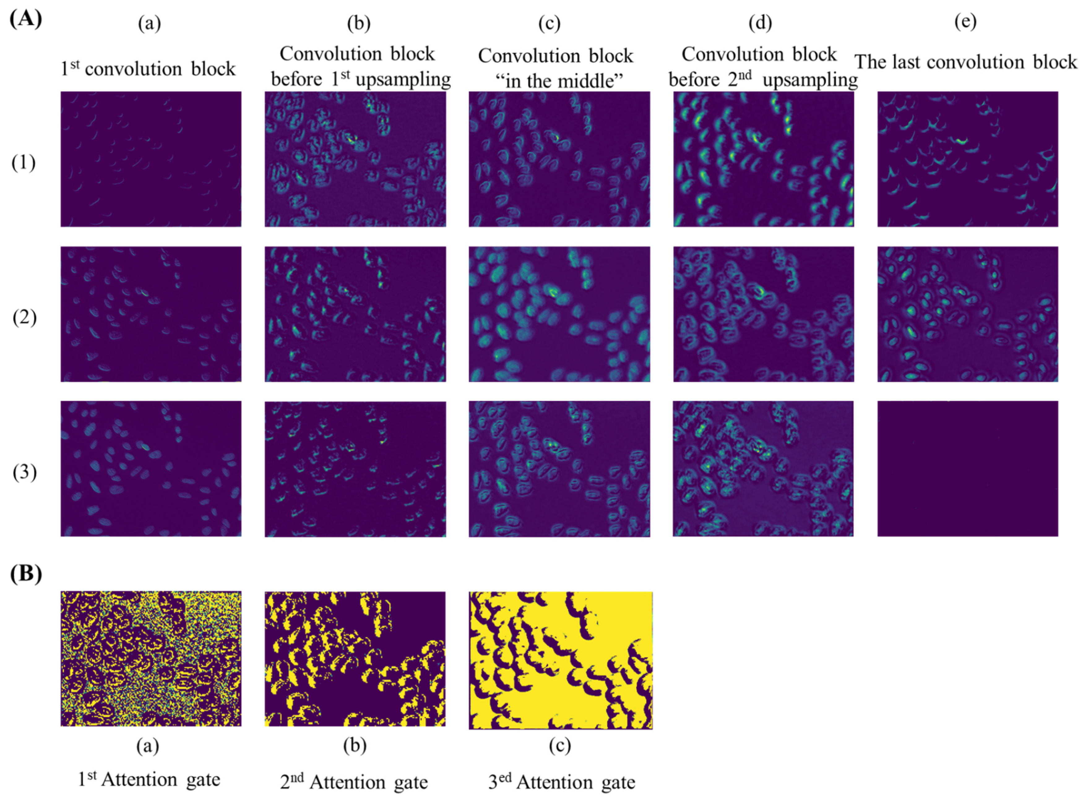 Genes 13 00431 g004 550