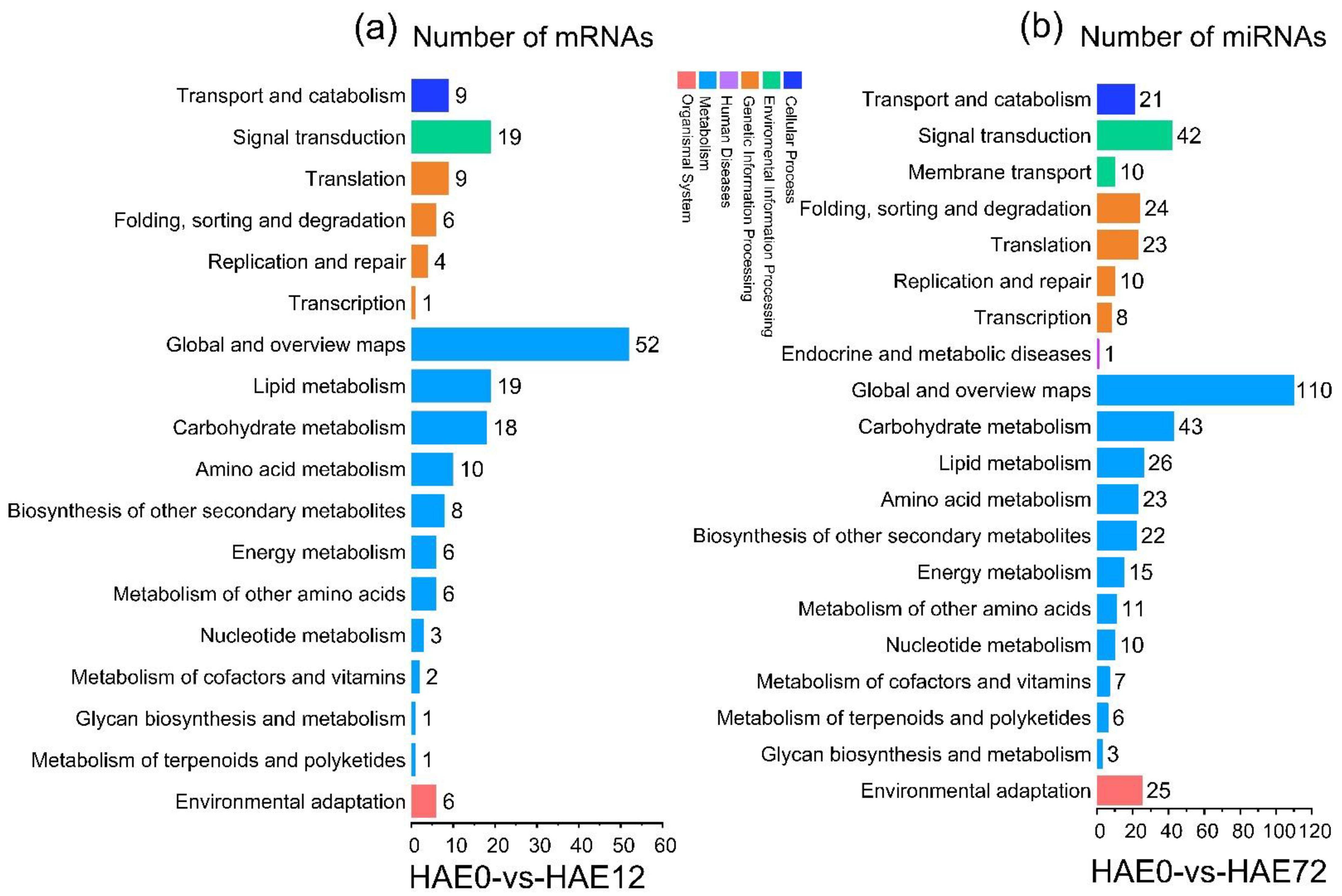 Genes 13 00441 g005