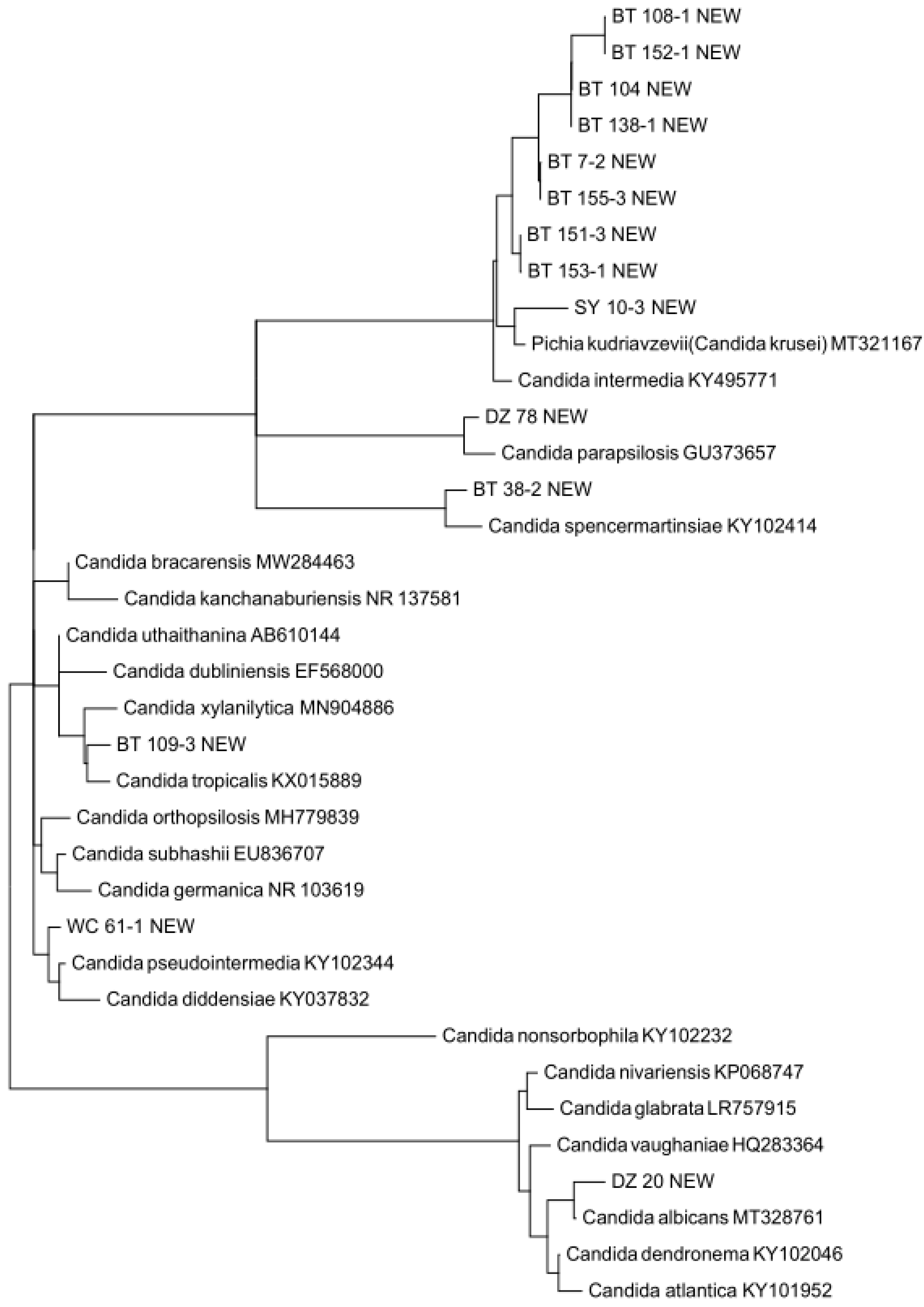 Genes 13 00444 g003