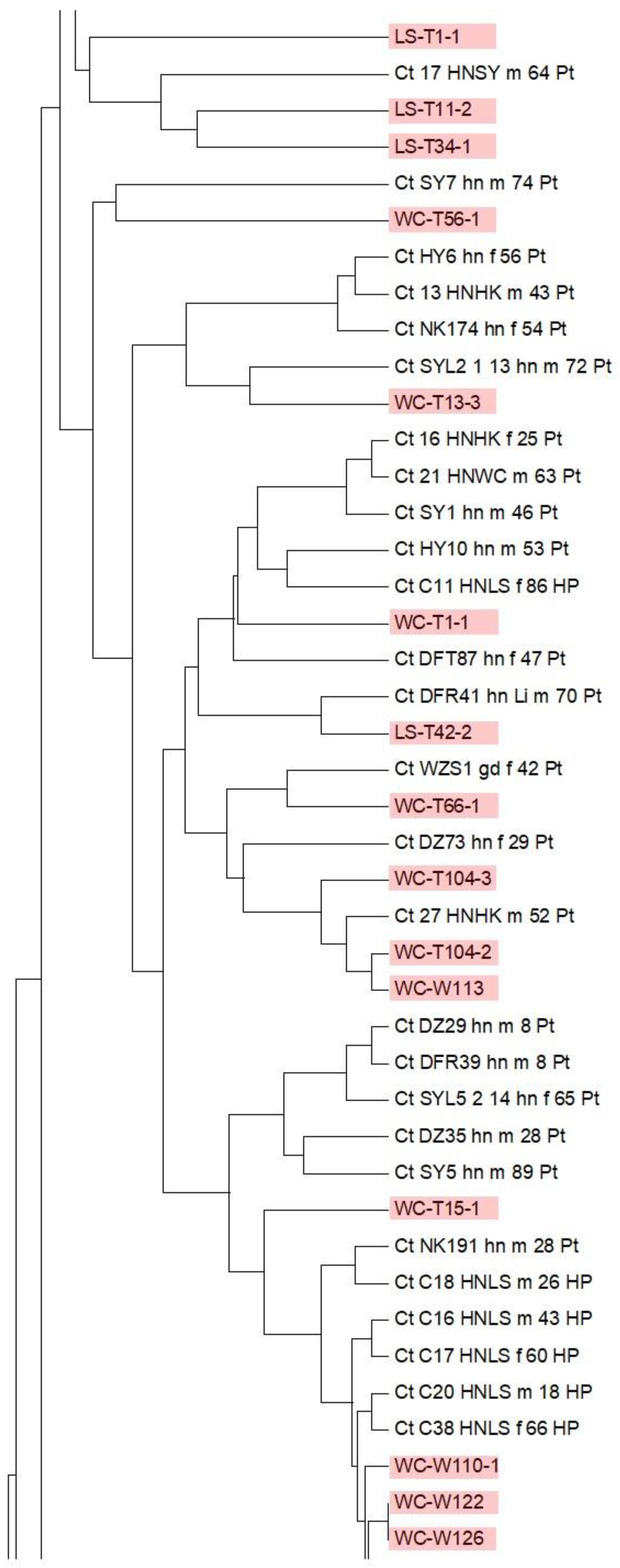 Genes 13 00444 g006b