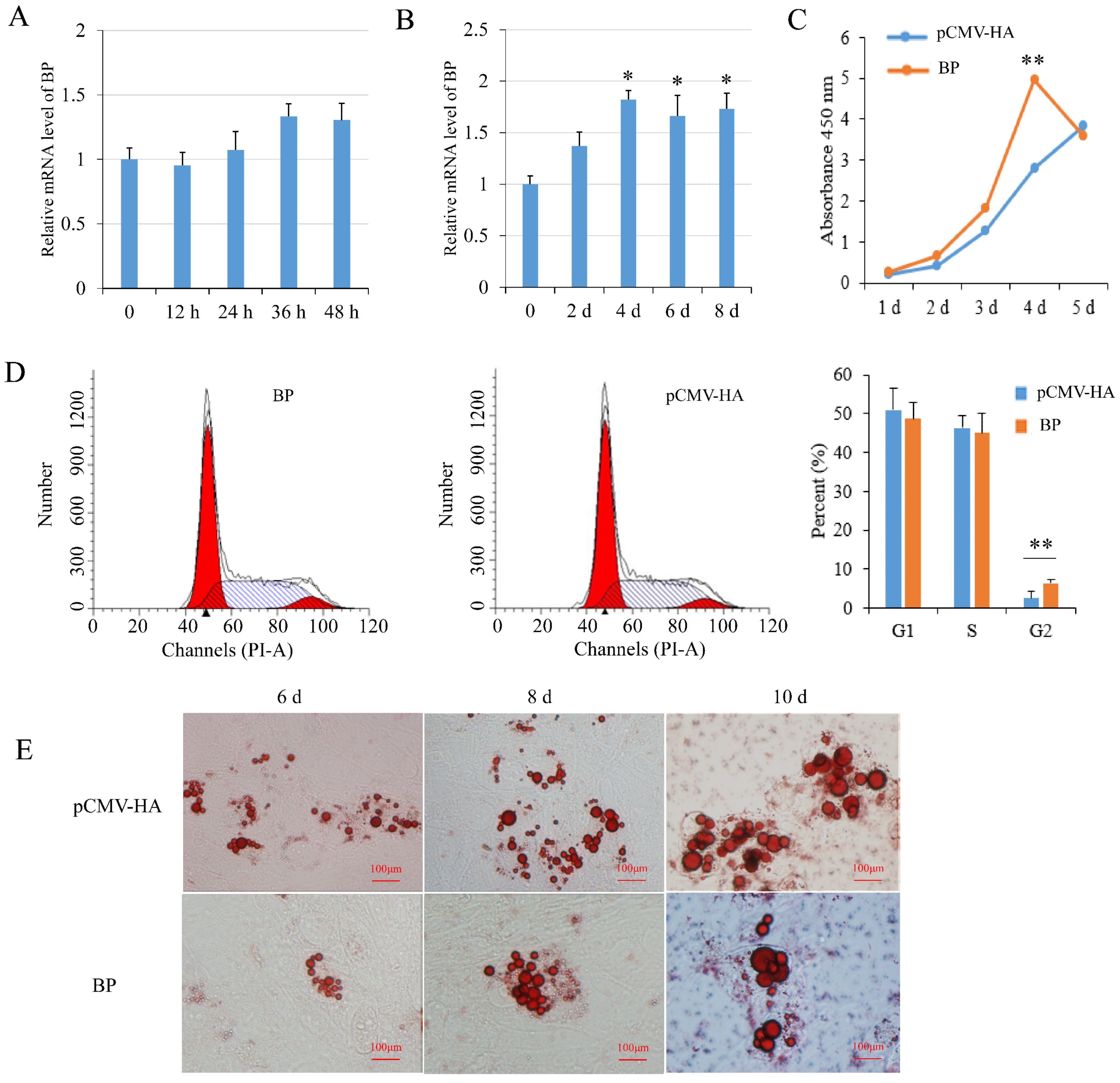 Genes 13 00445 g004 550