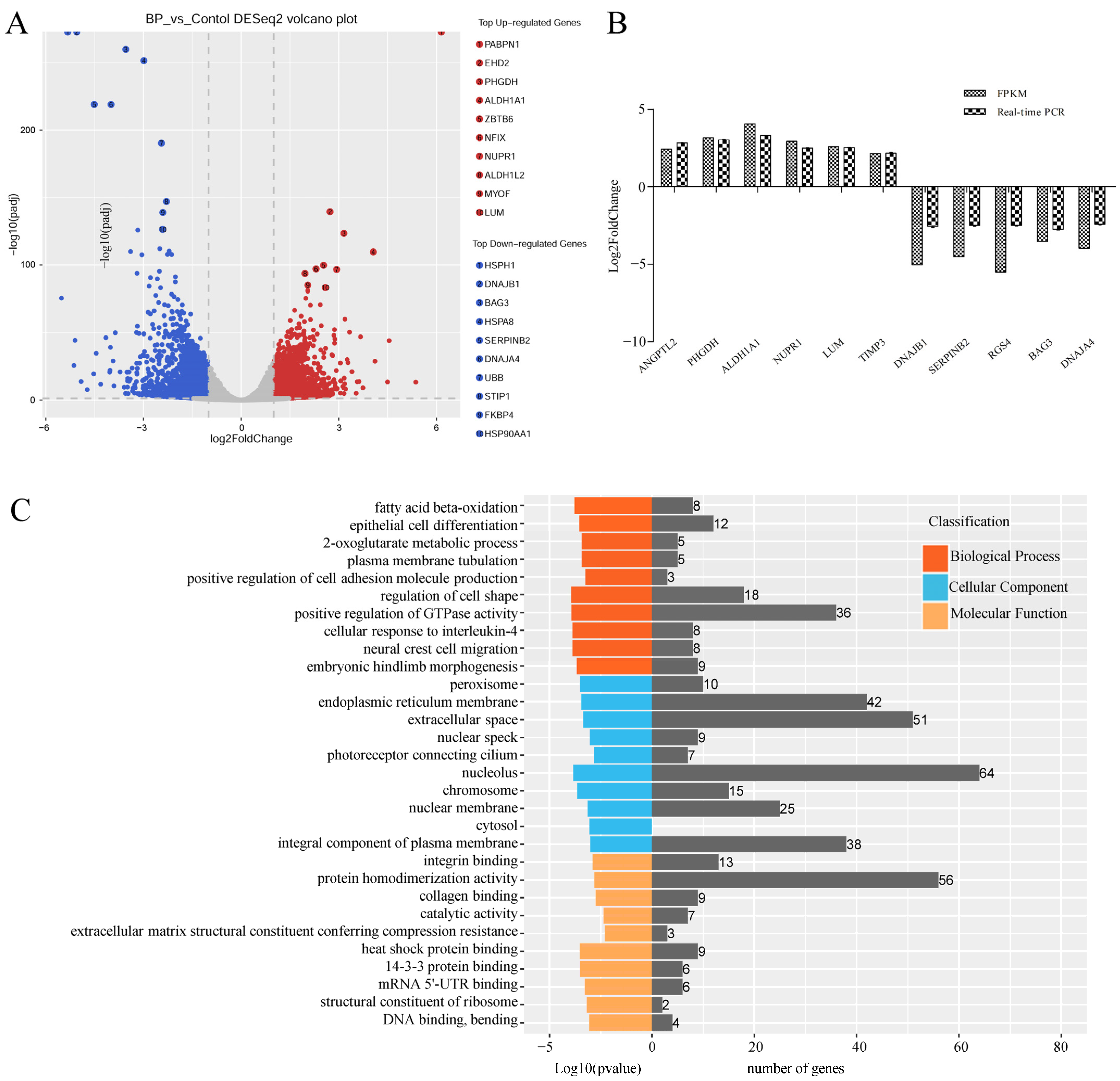 Genes 13 00445 g005a 550