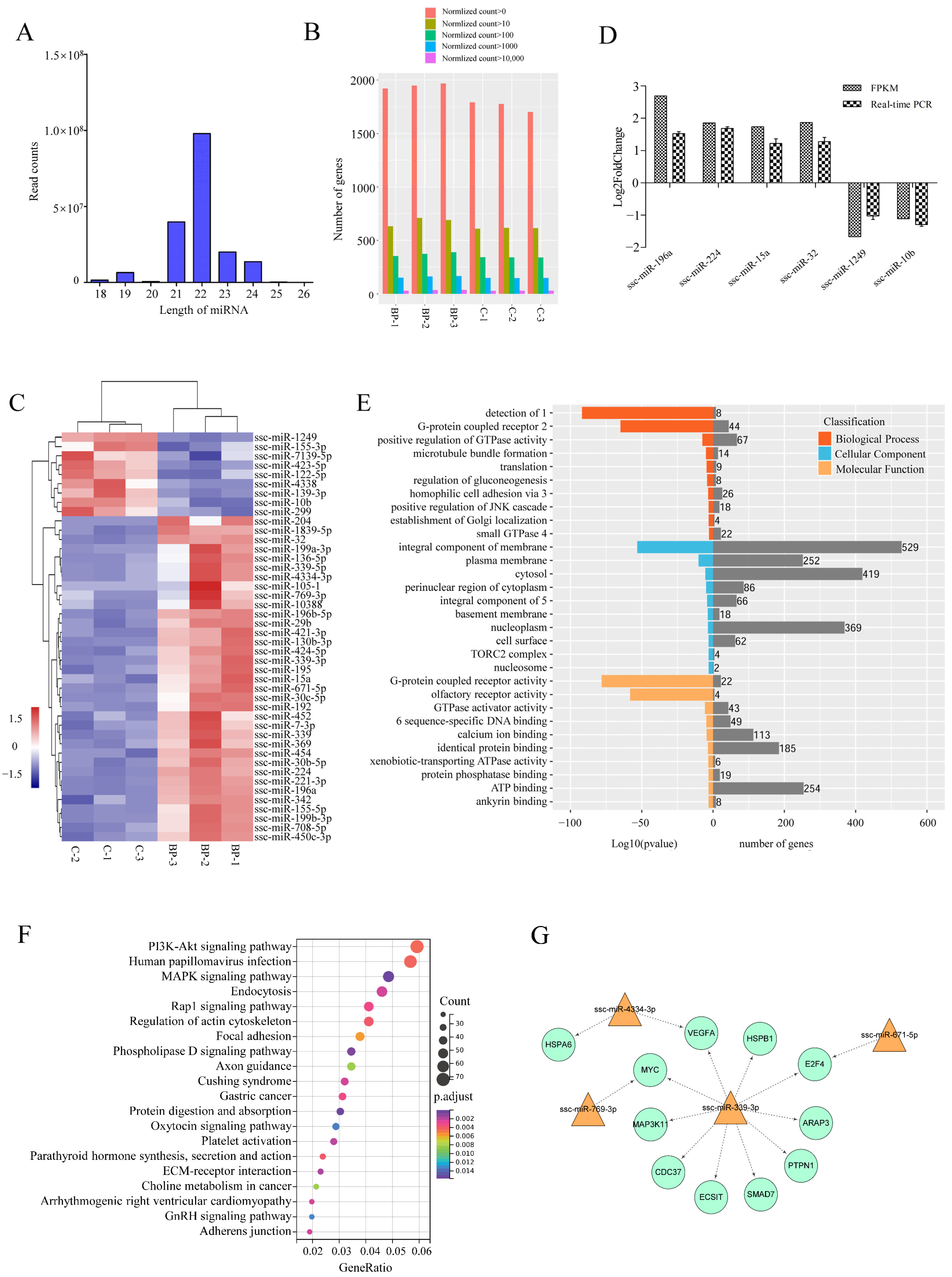 Genes 13 00445 g007 550