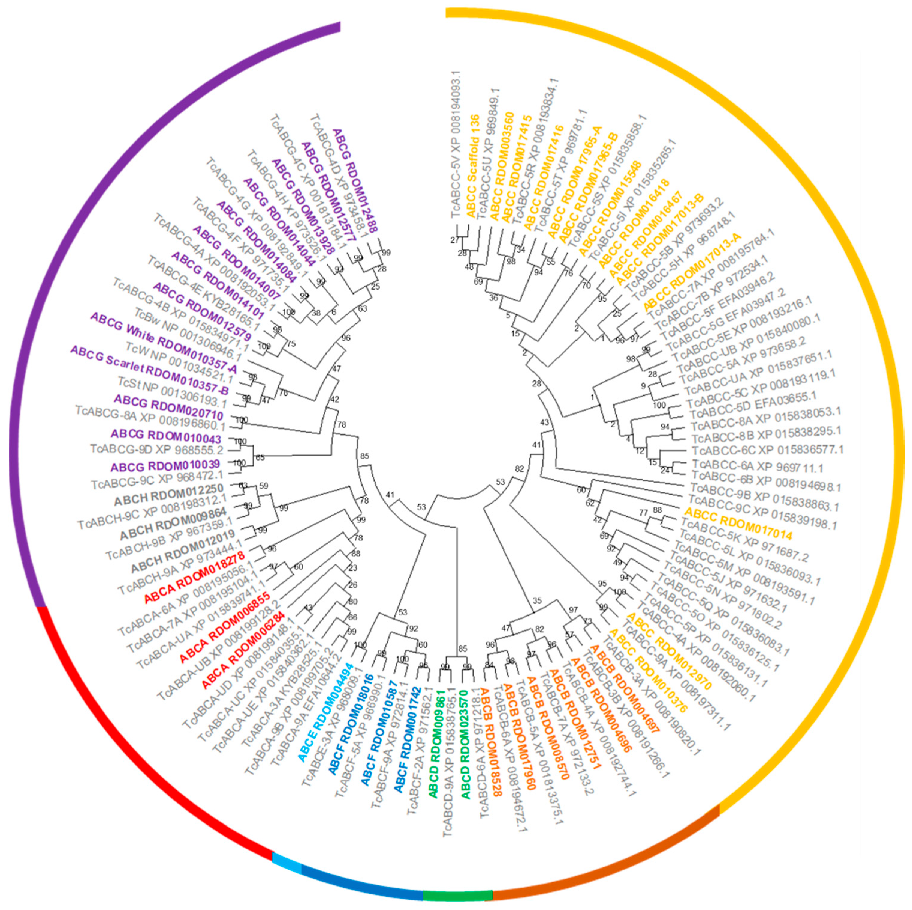 Genes 13 00446 g002 Genes 13 00446 g002