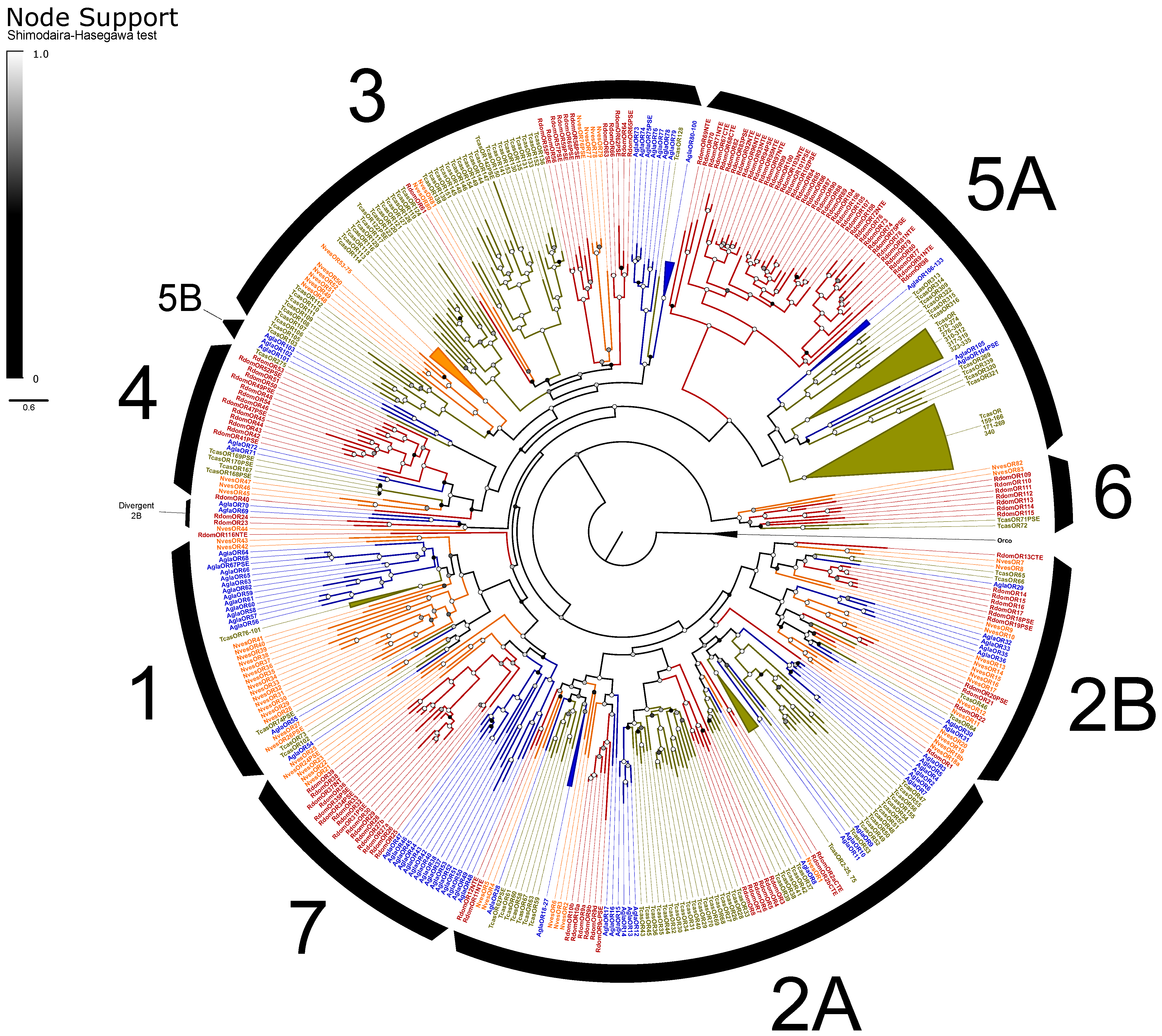 Genes 13 00446 g003 Genes 13 00446 g003