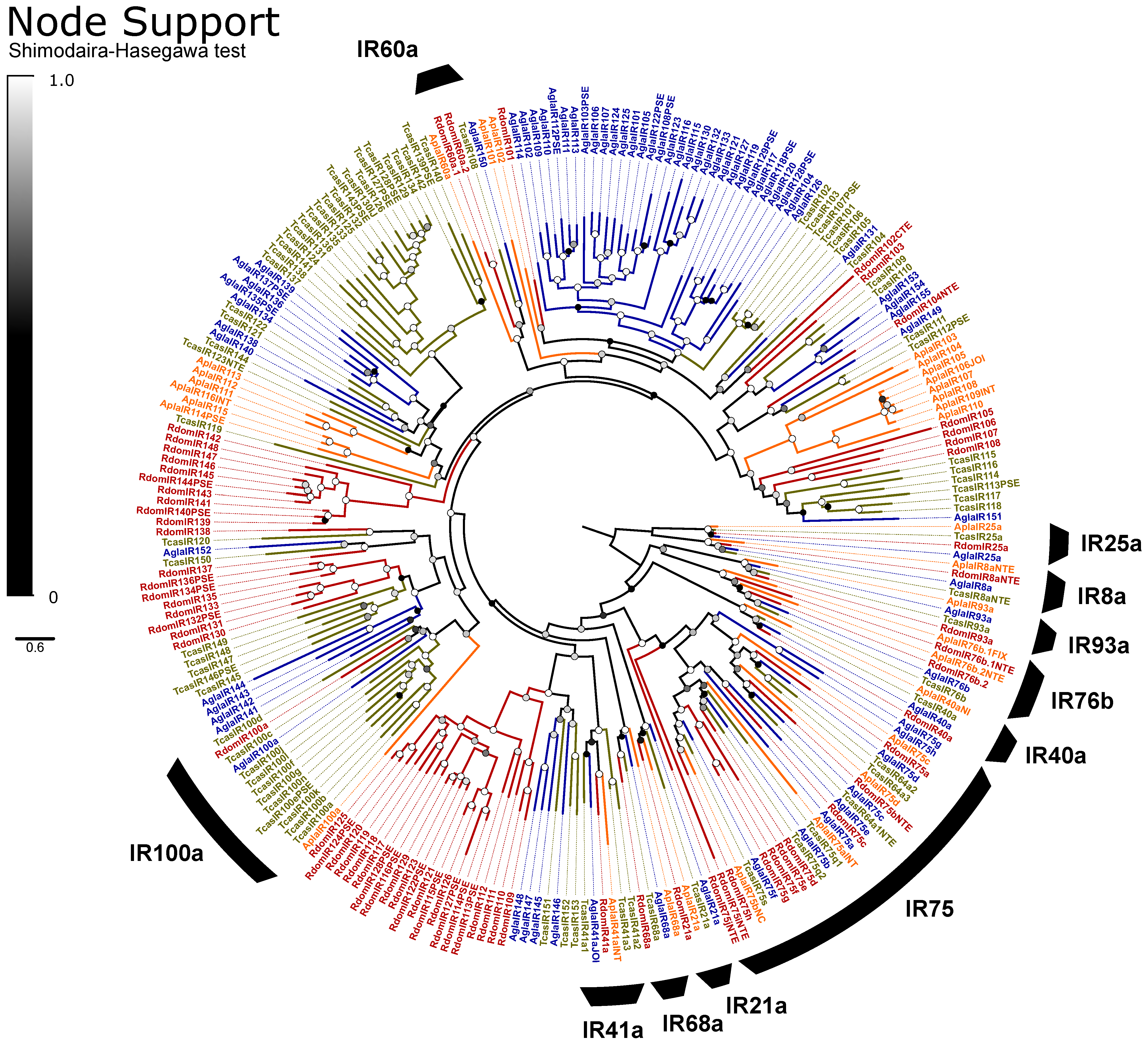 Genes 13 00446 g005 Genes 13 00446 g005