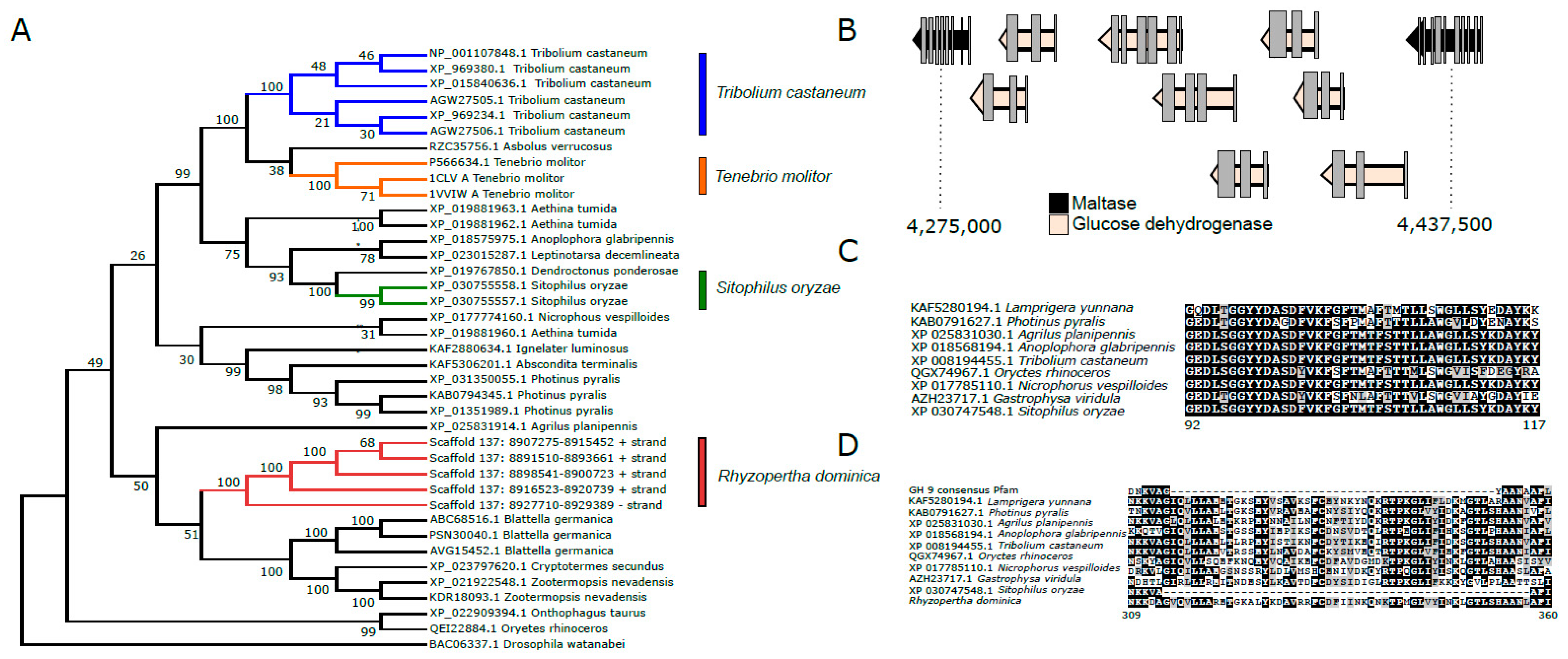 Genes 13 00446 g006 Genes 13 00446 g006
