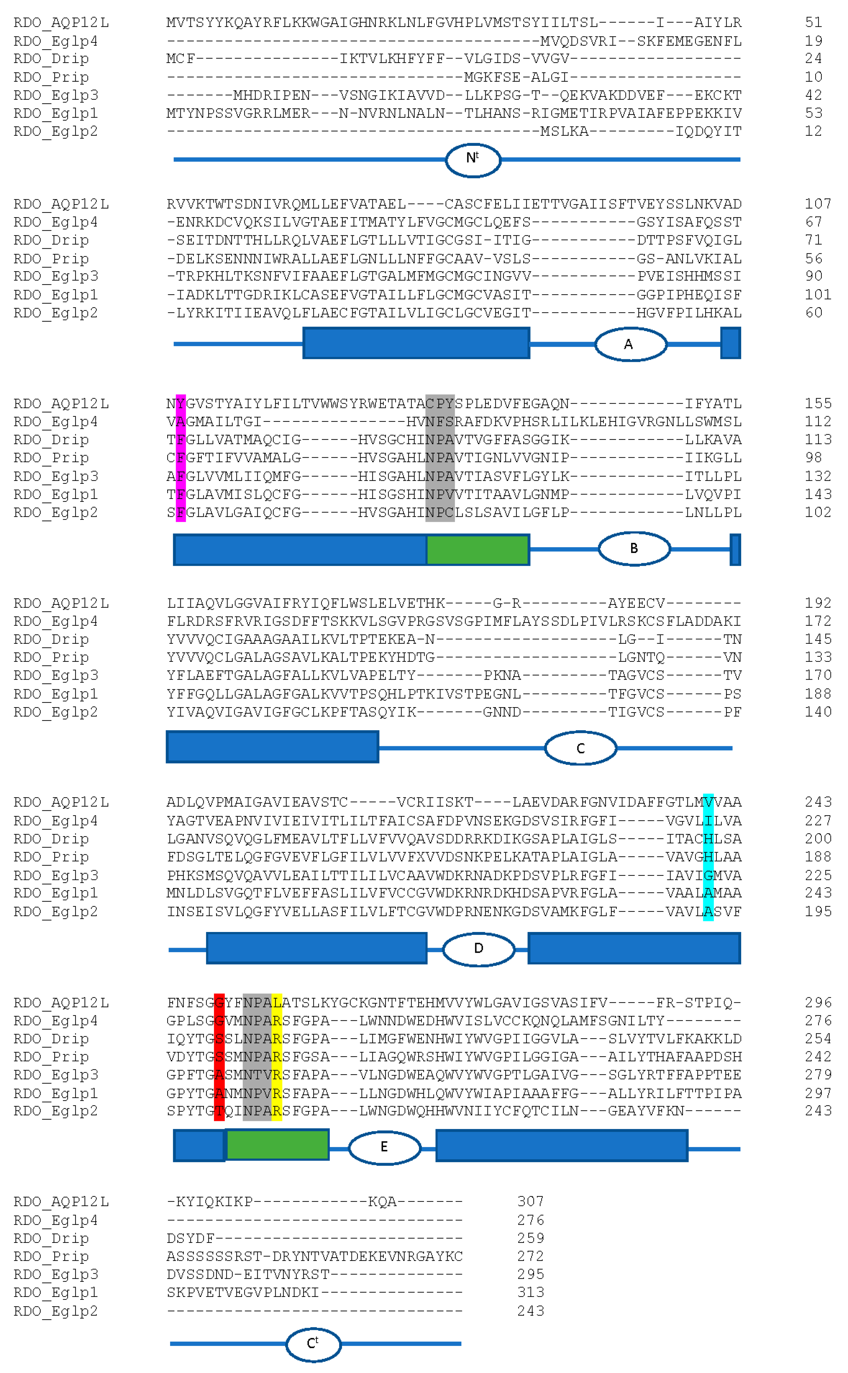 Genes 13 00446 g008 Genes 13 00446 g008