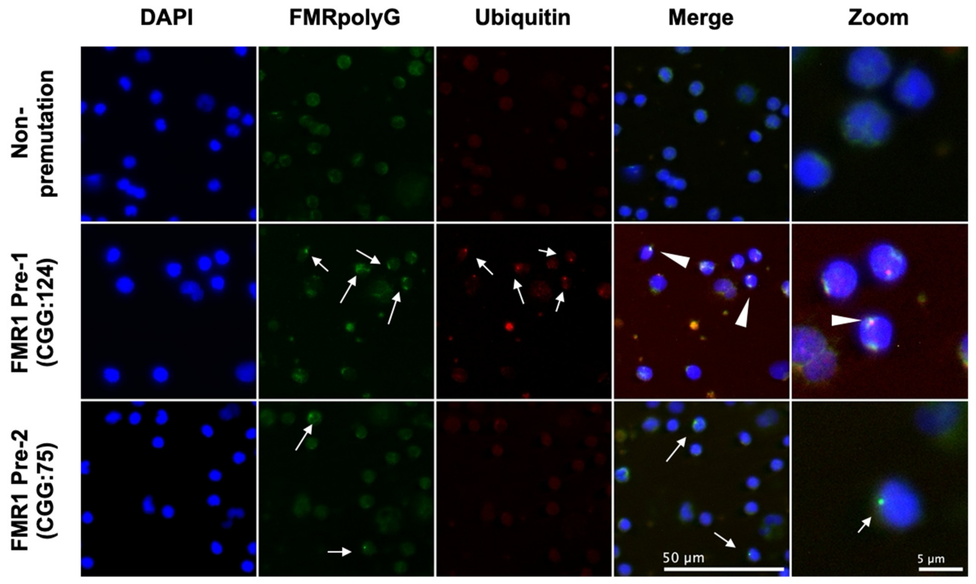 Genes 13 00451 g001 Genes 13 00451 g001