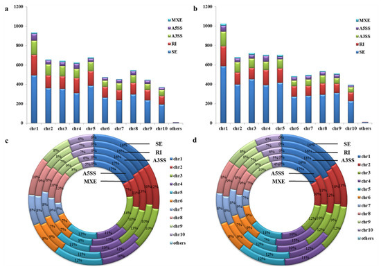 Genome-Wide Profiling of Alternative Splicing and Gene