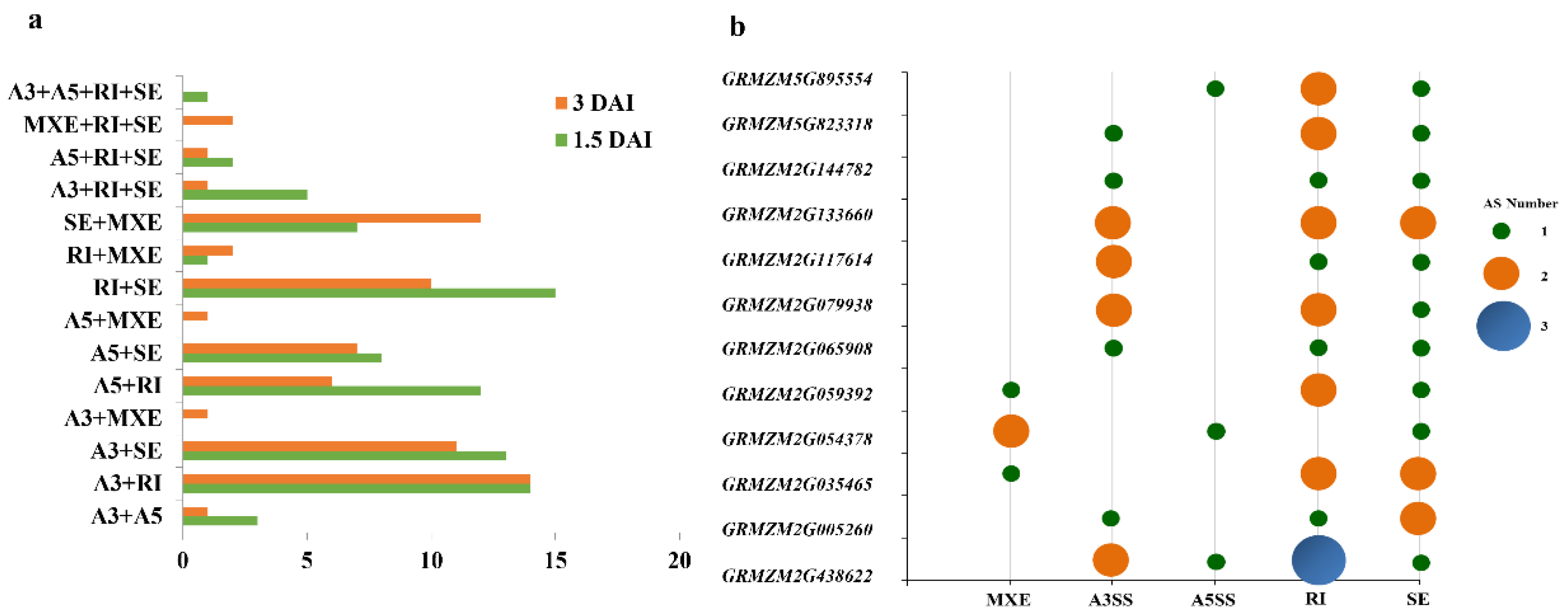 Genes 13 00456 g002 Genes 13 00456 g002