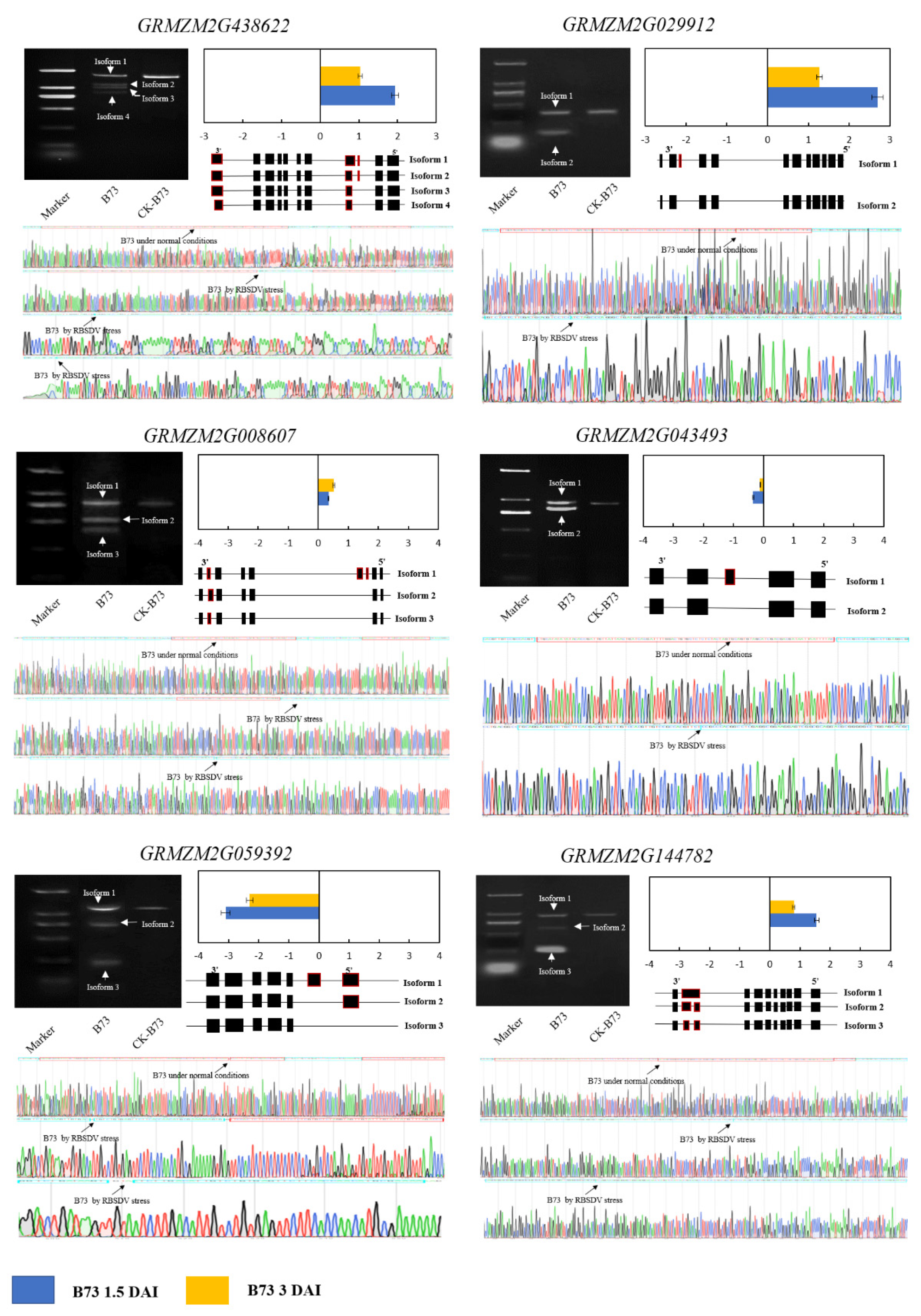 Genes 13 00456 g004 Genes 13 00456 g004