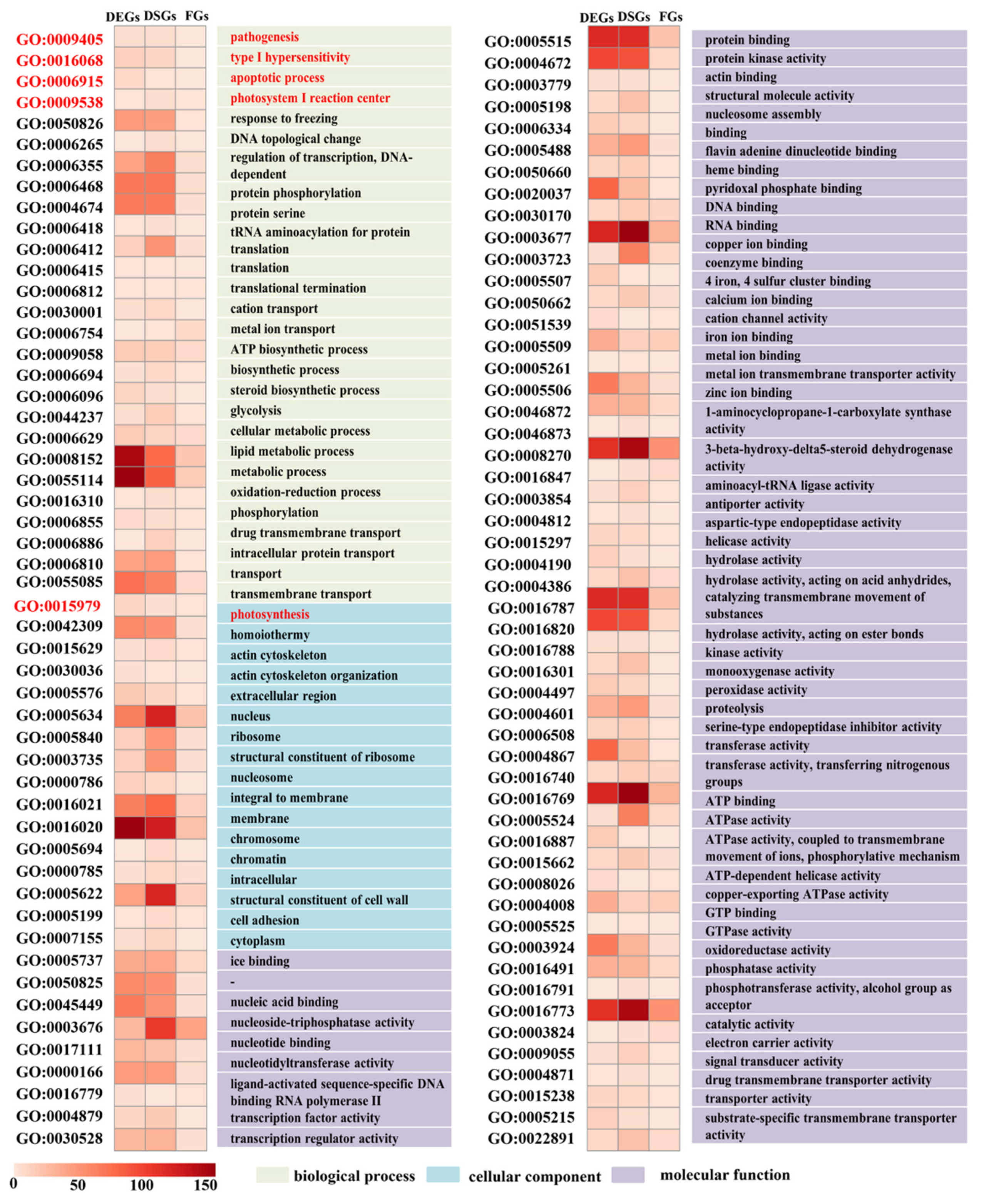 Genes 13 00456 g005 Genes 13 00456 g005
