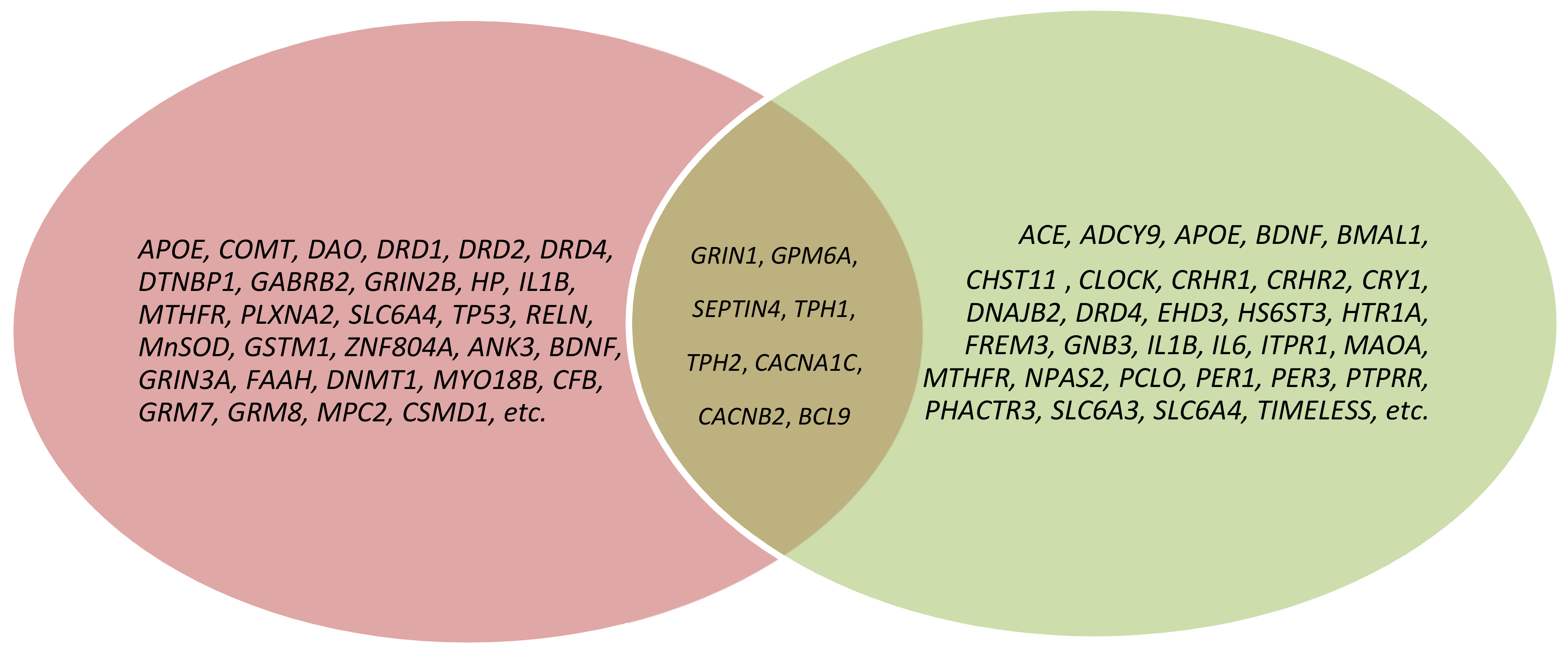 Genes 13 00457 g001 Genes 13 00457 g001